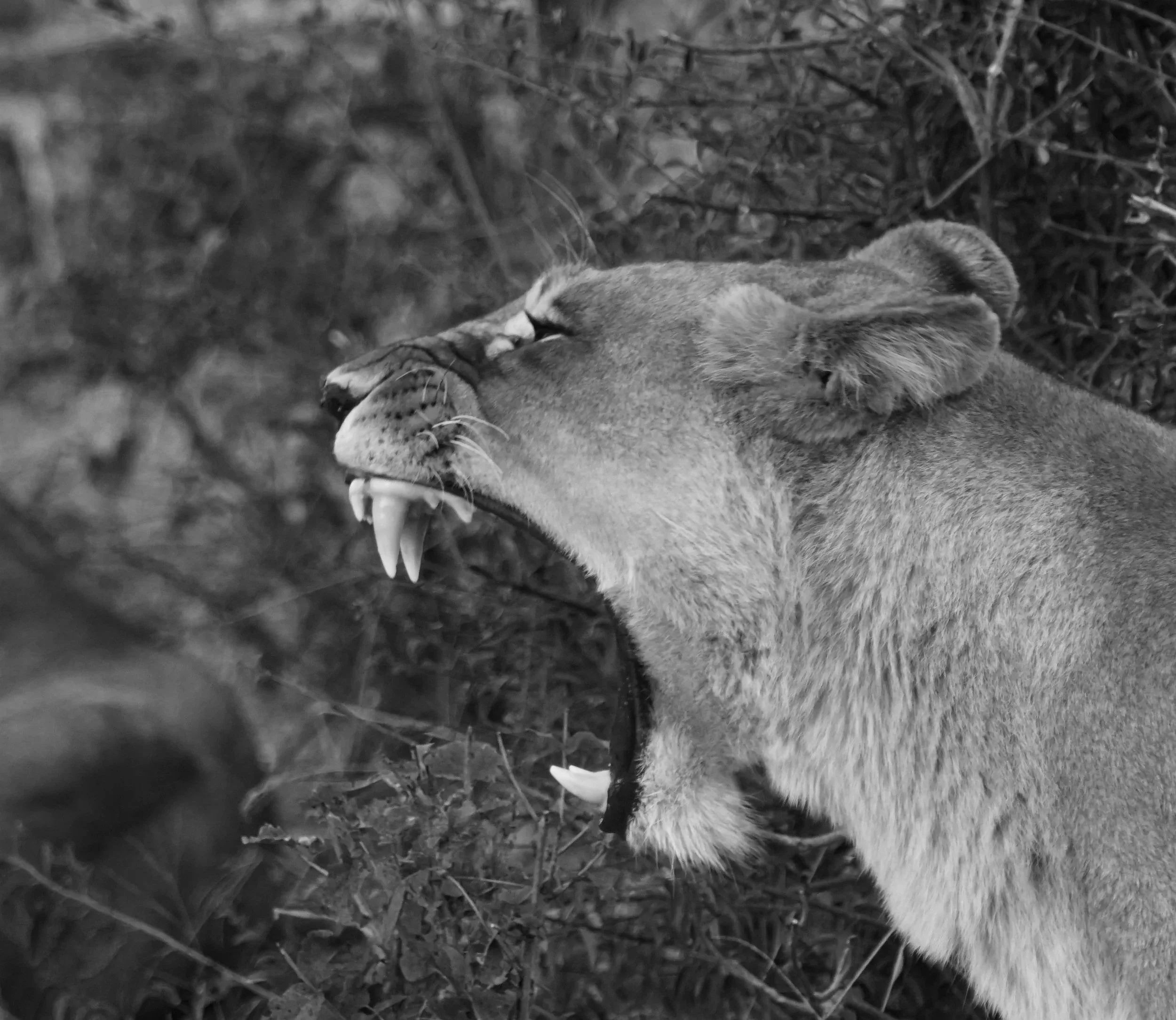 The Emotional Thaw in Eating Disorder Recovery