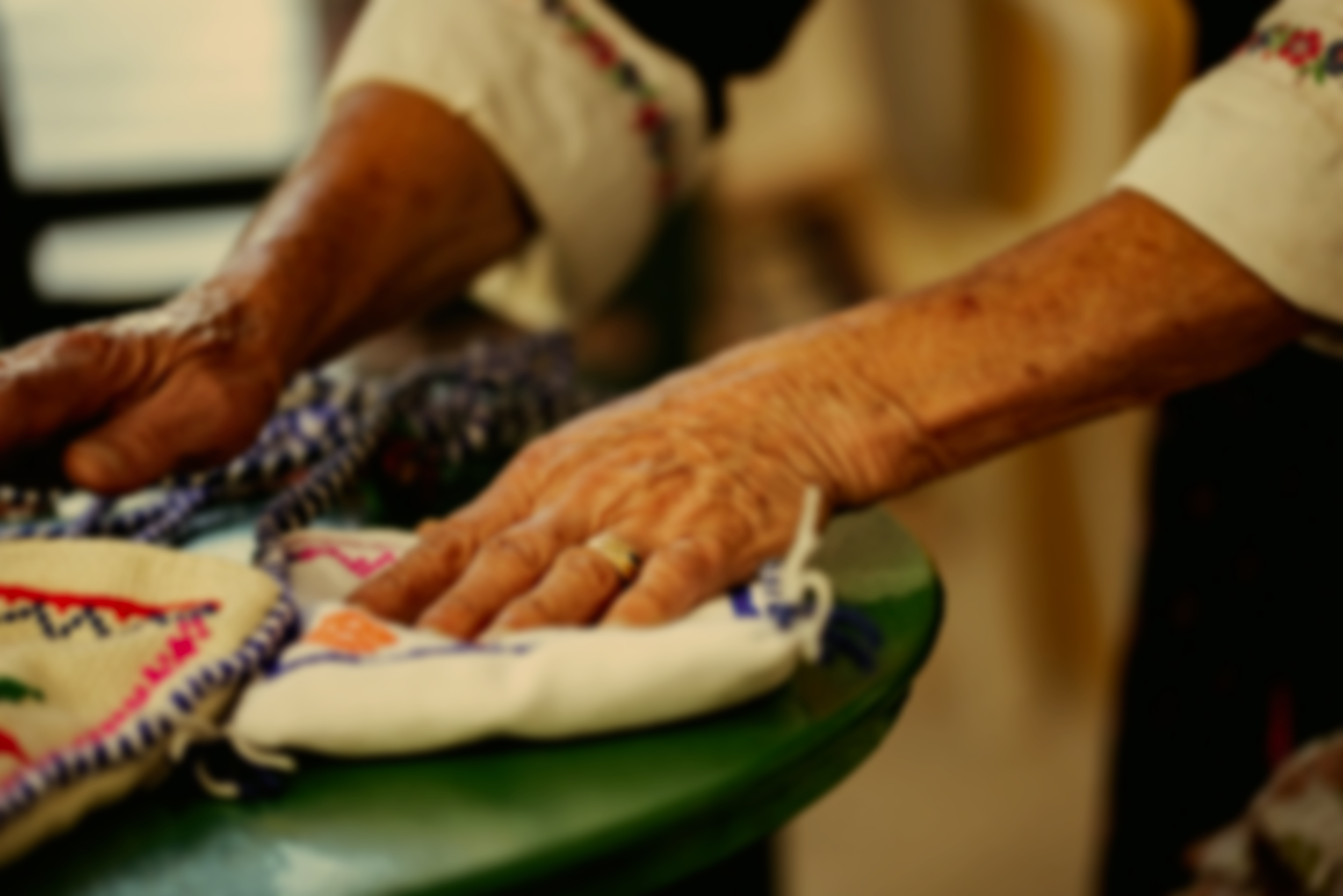 Nourishing visual representing emotional support and relational therapy at Village Wellness Therapy in British Columbia