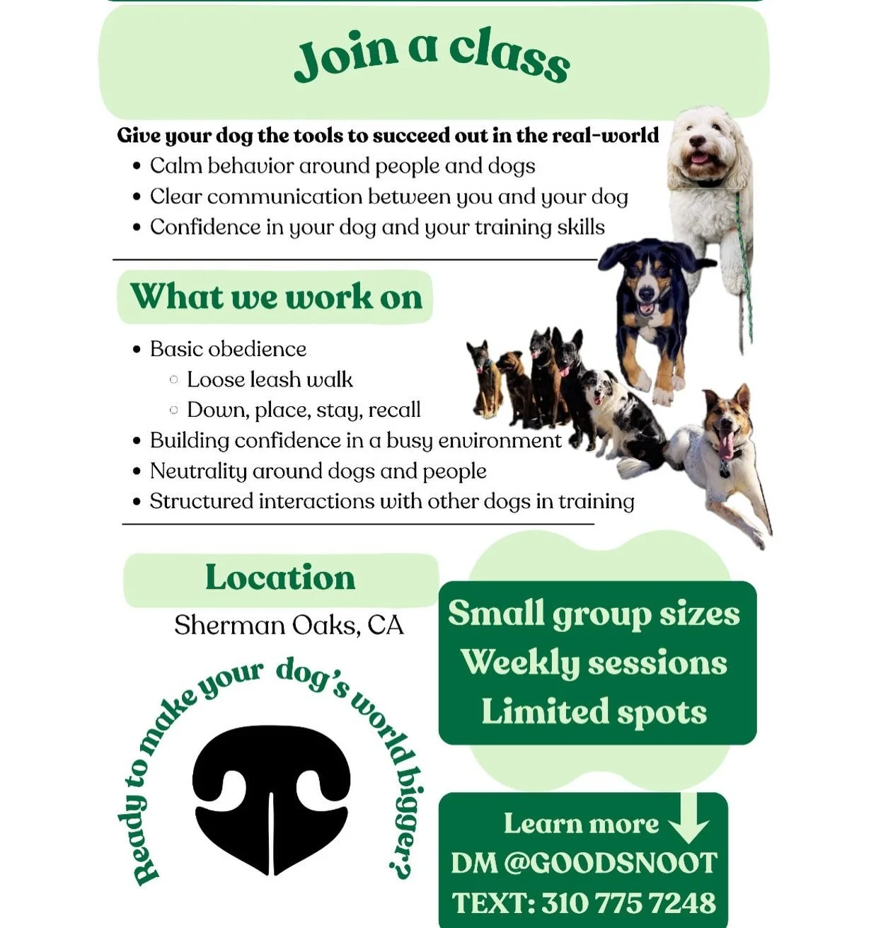Group classes are finally here!! 
I am so excited to roll out this program!!
If you have done any training with me, I highly recommend checking out a group class. The focus of this class is to get together, work on leash skills, practice all the basi