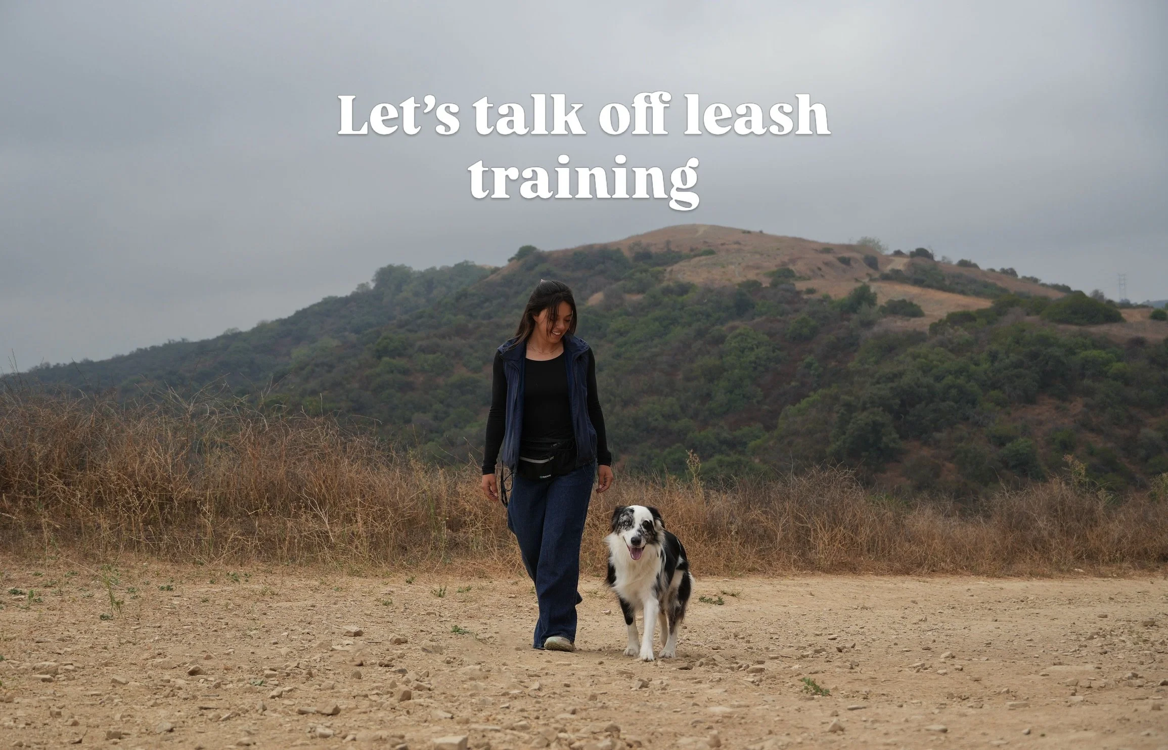 Does your dog respond to their name? Do they understand come means come? If you want off leash reliable recall, no matter the environment, check out our day training programs! 
Spots are limited!! Sign up for your consultation today to lock in a spot
