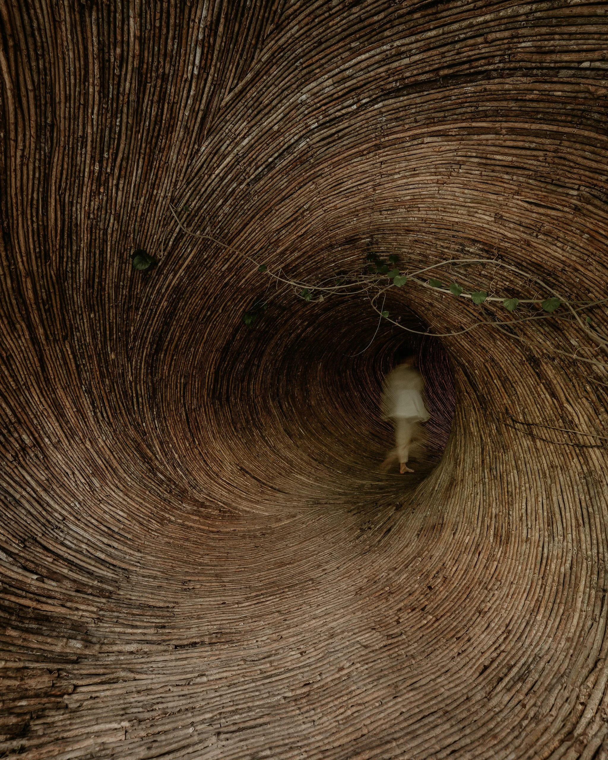 untitled52.jpg