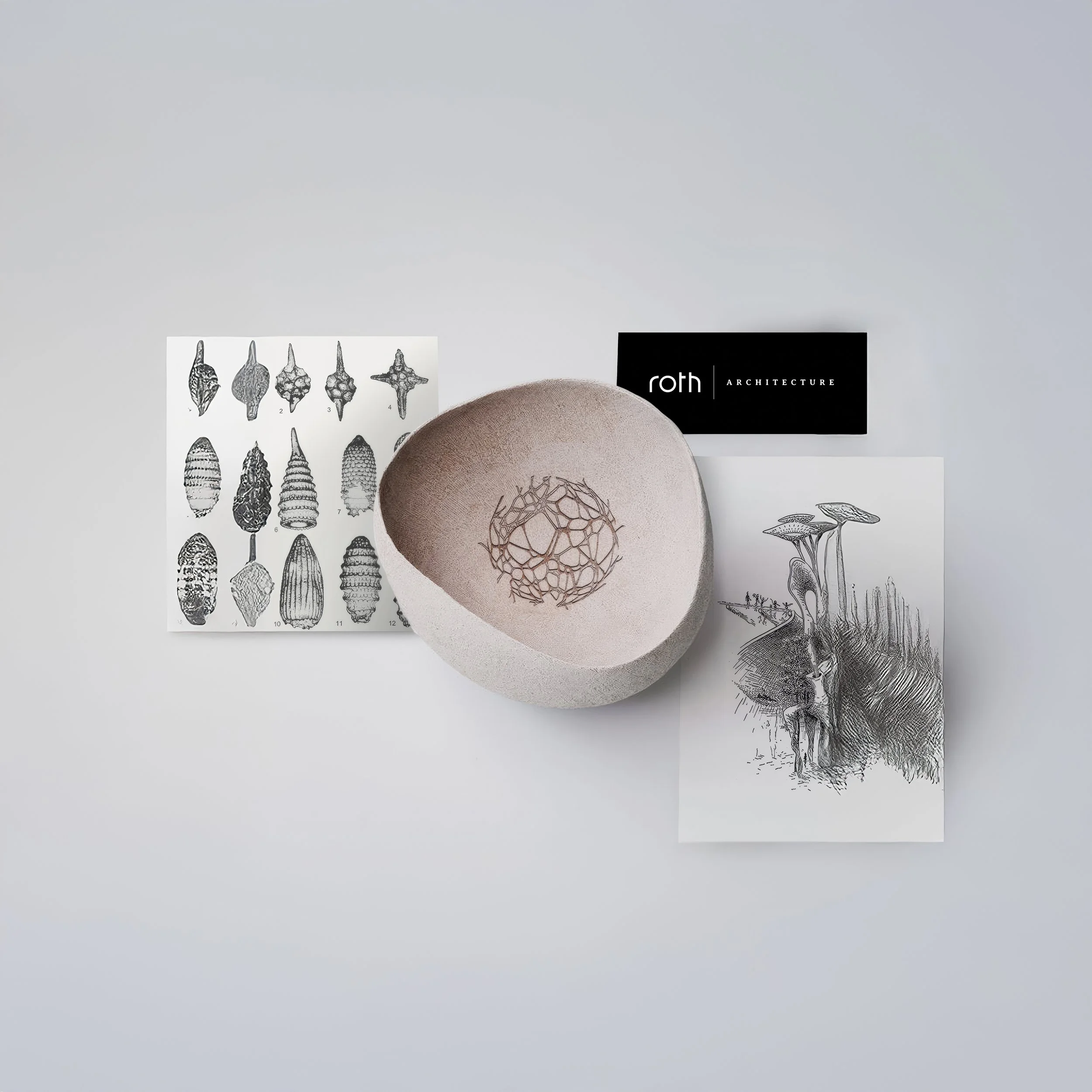Architects_24.jpg