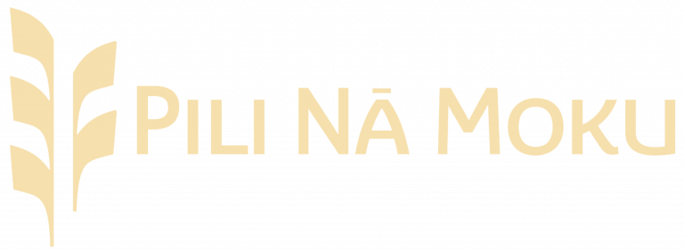 PNM-Logo-horizontal-Cream-Transparent-768x280.png