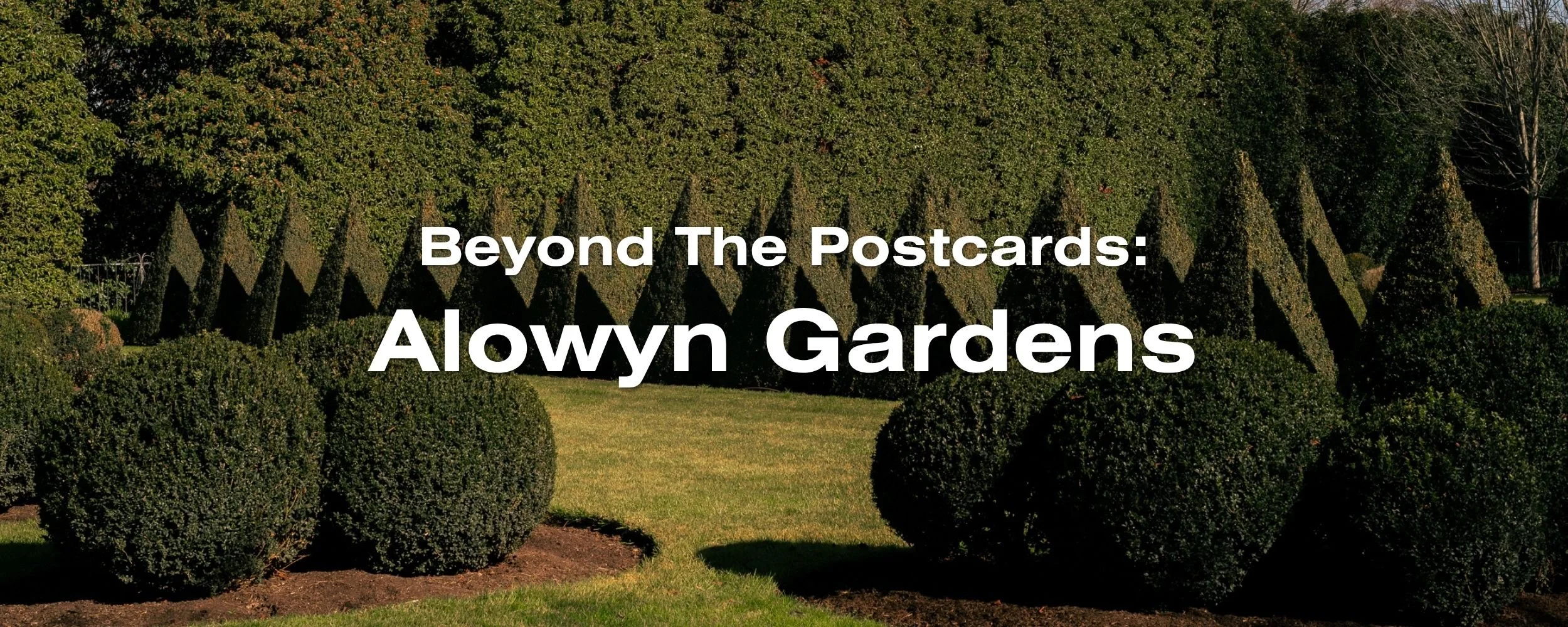 A Quiet Escape to Alowyn Gardens (Day 3)