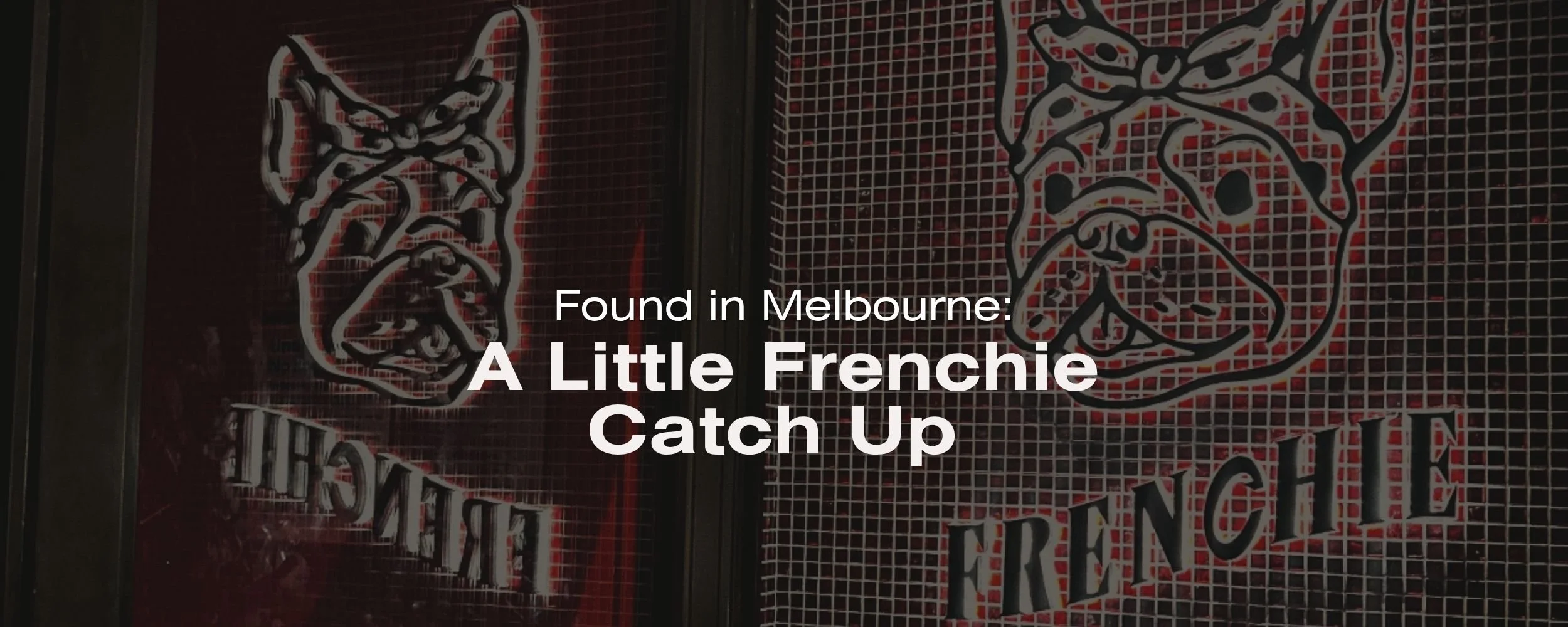 A Little Frenchie Catch-Up with Sab Eats World
