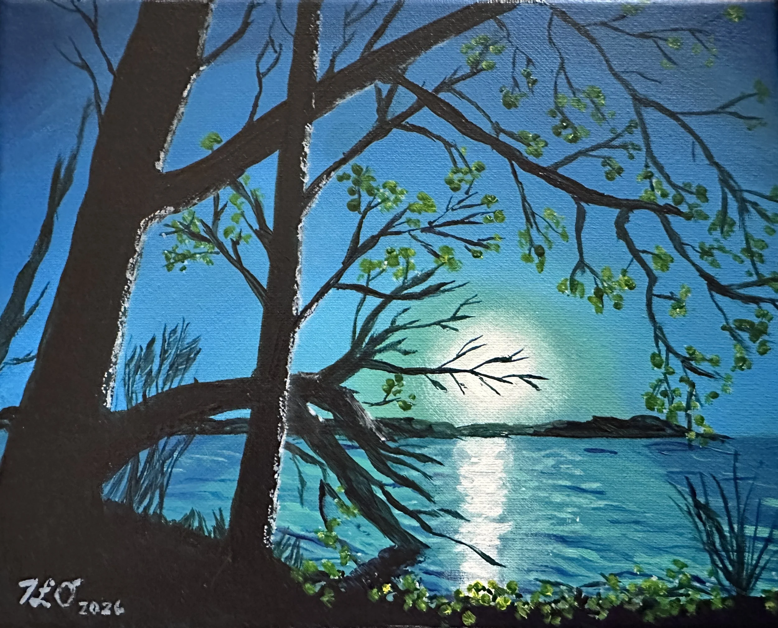 Moon over the Lake.jpg