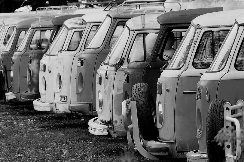 Row of vintage Volkswagen vans parked outdoors.