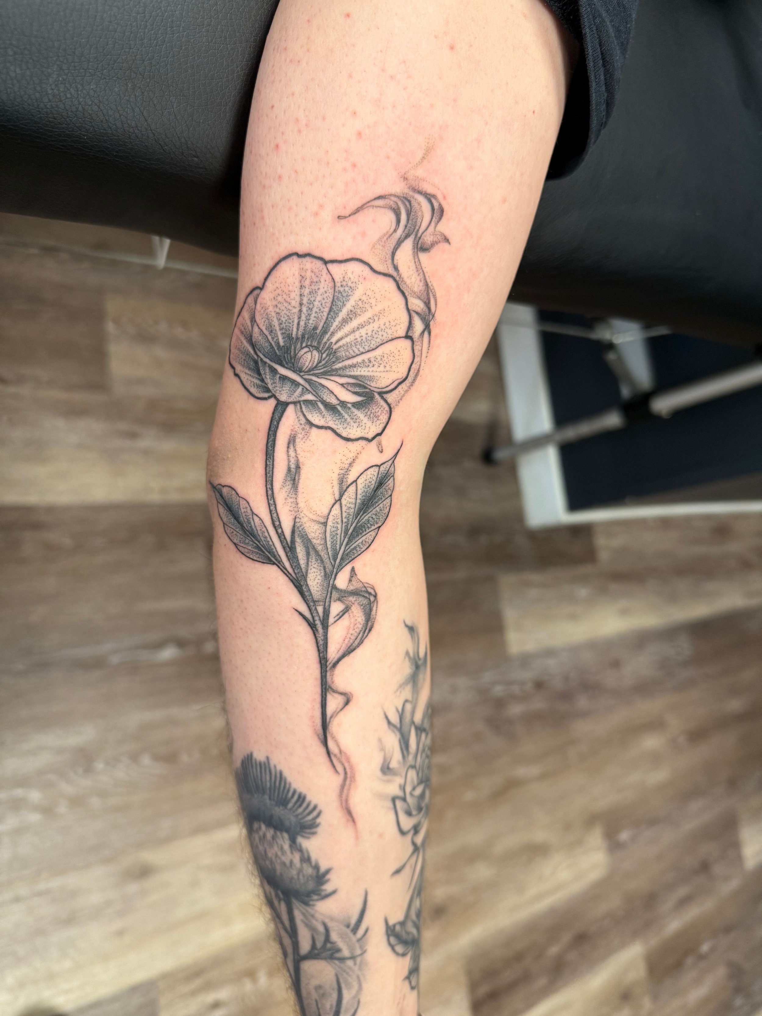 Untitled design (5).jpg