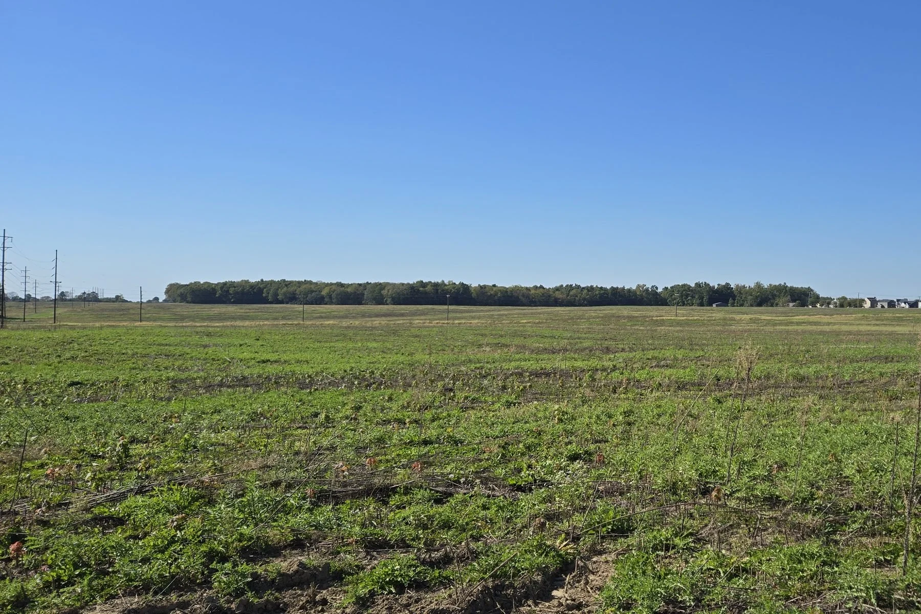 A wide, flat green field under a clear blue sky, with a line of trees on the horizon and utility poles at the far left.