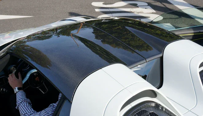 OEM style carbon roof