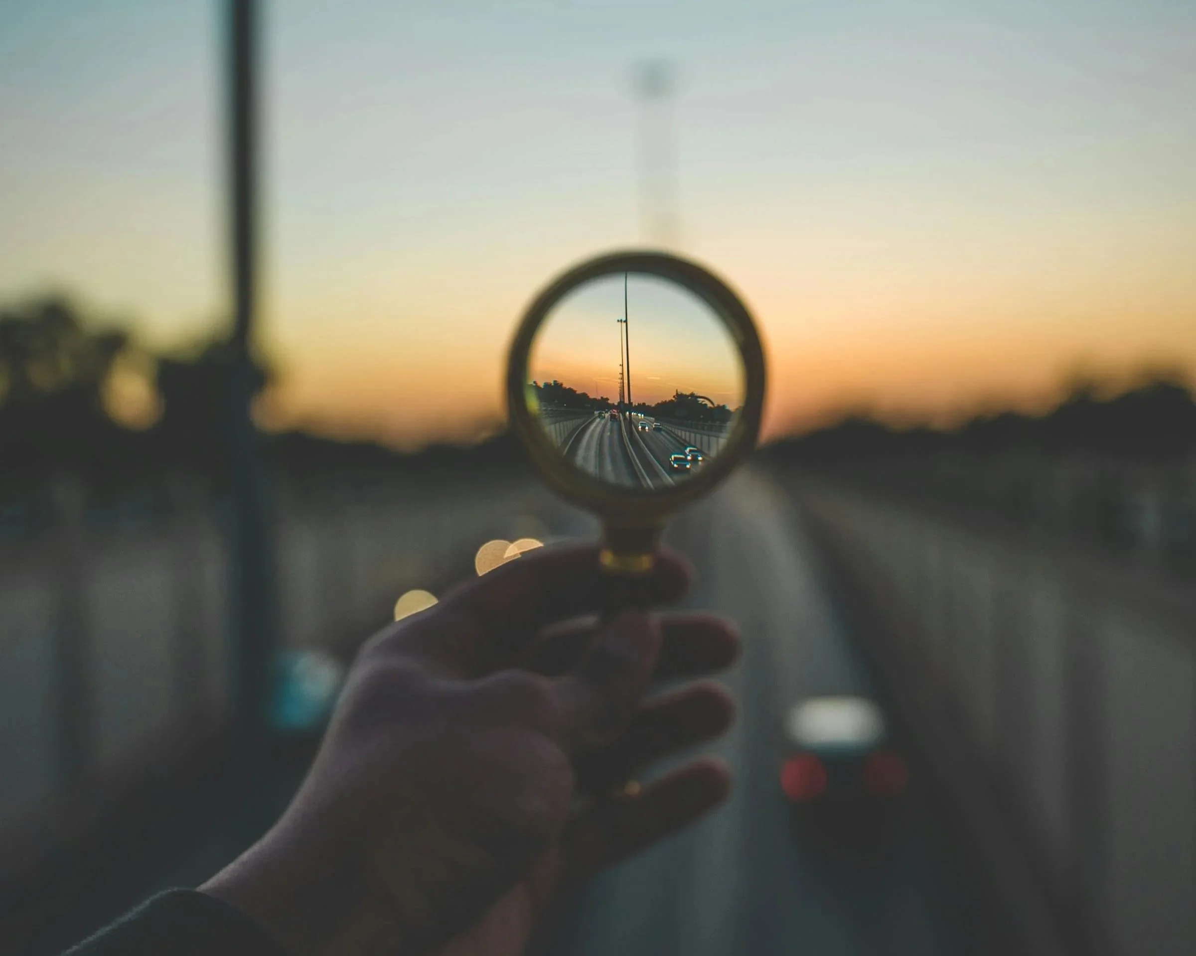 Sustainable Change and Curiosity