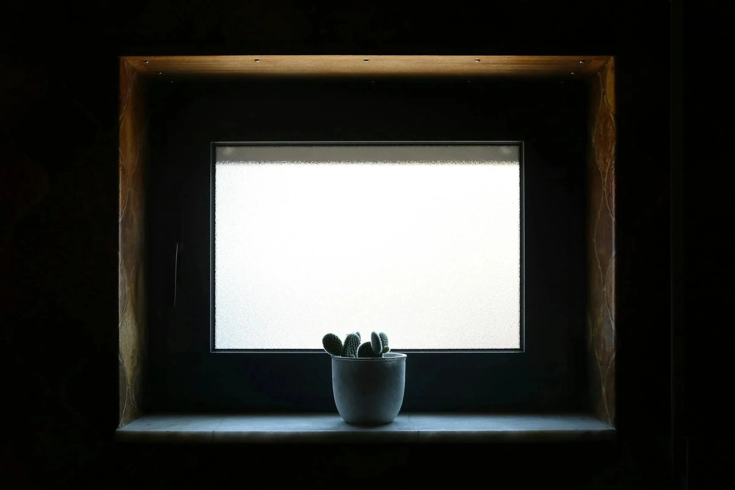 Soft natural light through a window with a small plant, reflecting stillness and a moment of pause