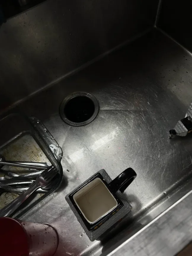 Before Basic Clean + Very Minimal Dish Service