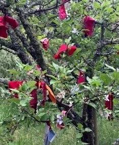 Jizo tree offerings.jpg