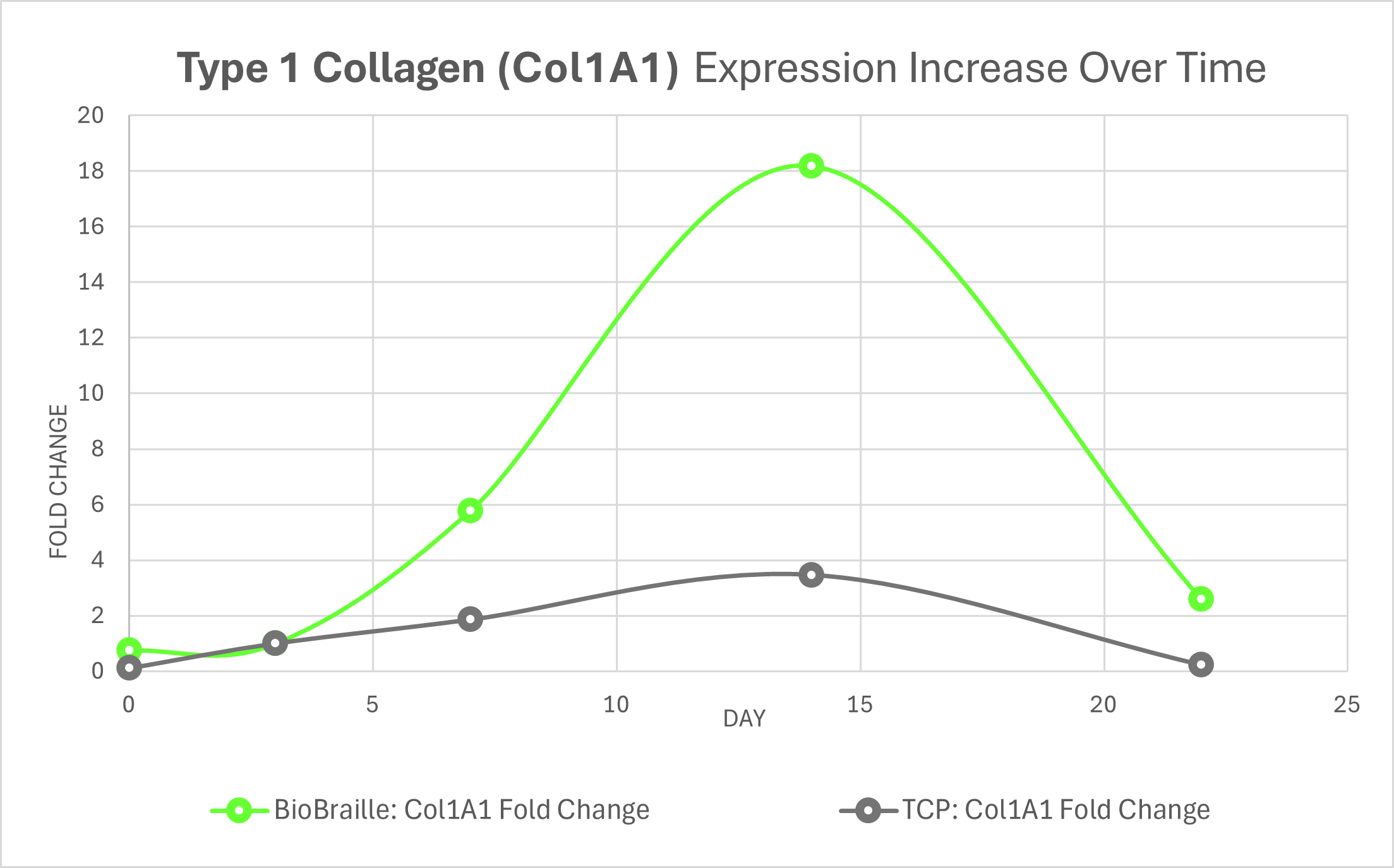 Line graph showing the expression increase of Type 1 Collagen over time, comparing BioBraille and TCP. The x-axis represents days, and the y-axis shows fold change. BioBraille's fold change peaks at day 15, while TCP's fold change remains relatively steady.