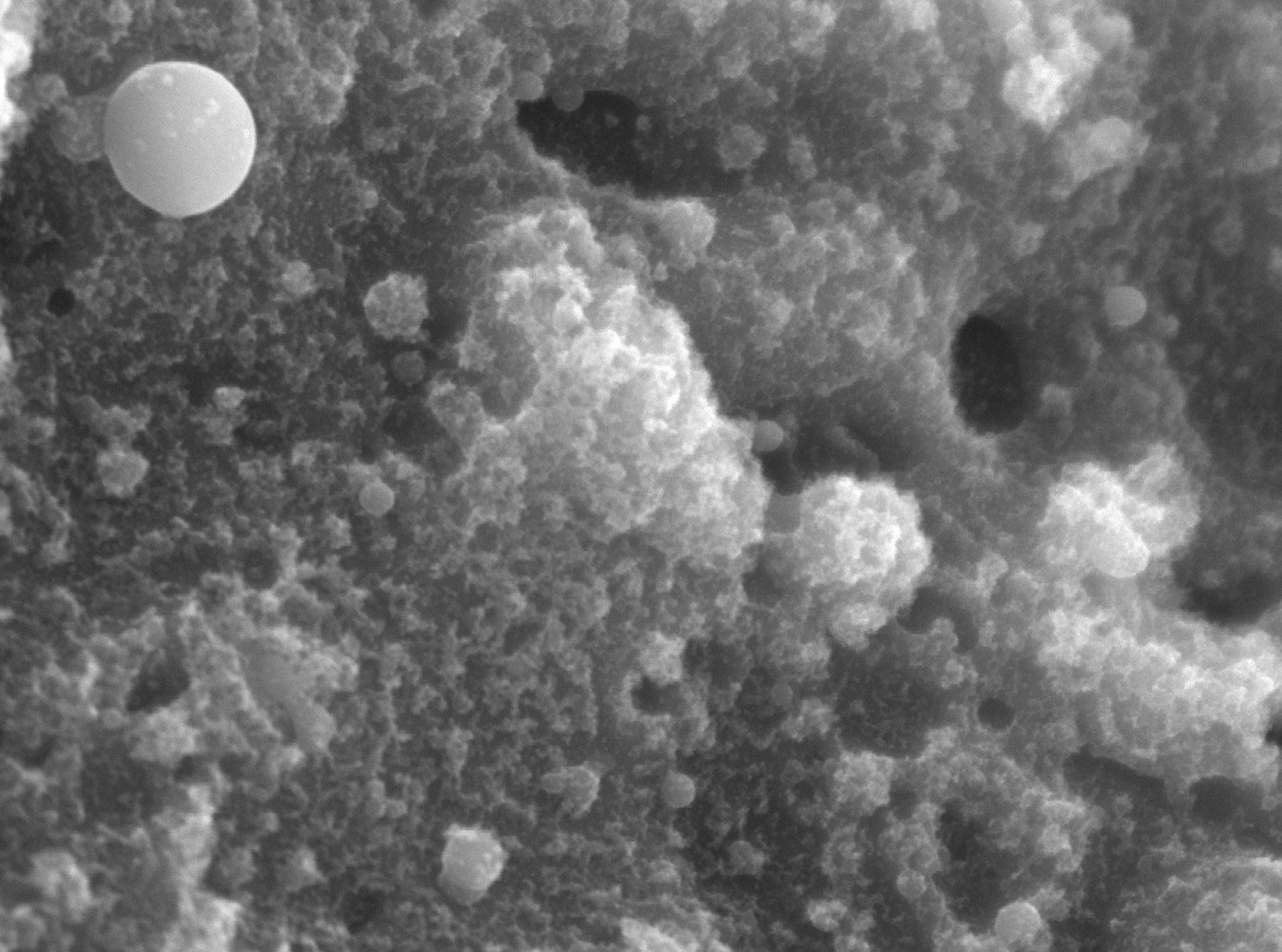 A black and white microscopic image showing protrusions and pits and structures at the nanometer scale. biobraille nano pattern SEM