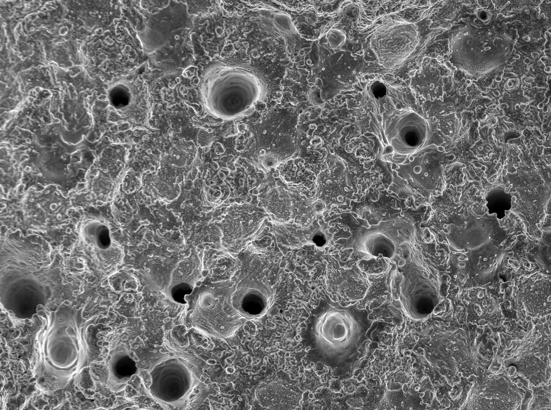 A highly magnified microscopic view of a porous surface with numerous holes and complex textured structures, captured at 500x magnification. biobraille micro pattern SEM