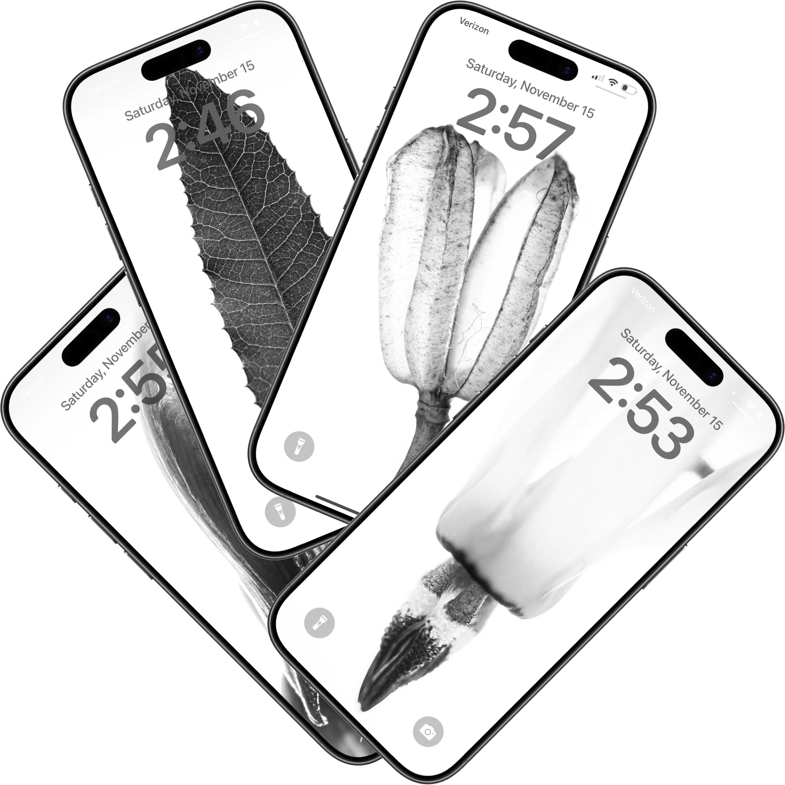 Black and White Macro Wallpaper Pack 1