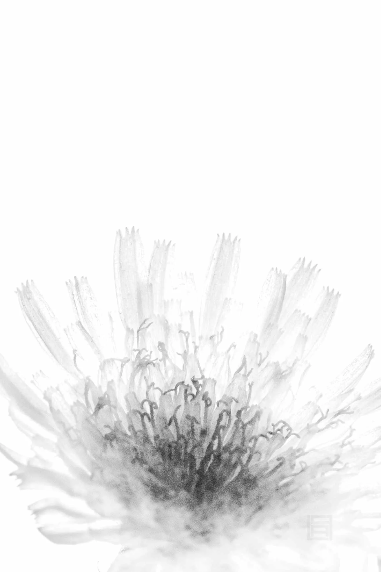 MACR_1_BW_ASTER_005RS.jpg