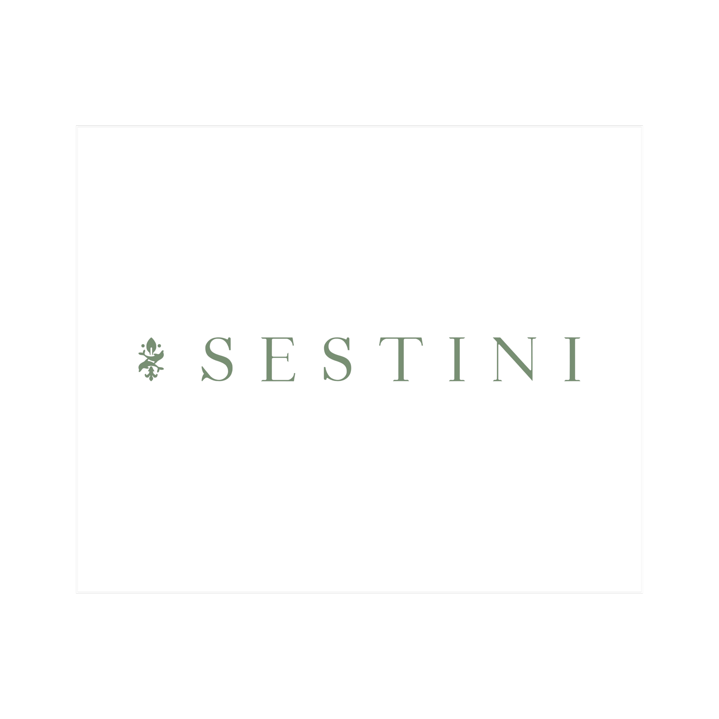 SESTINI EYEWEAR FOR EYECON 2026