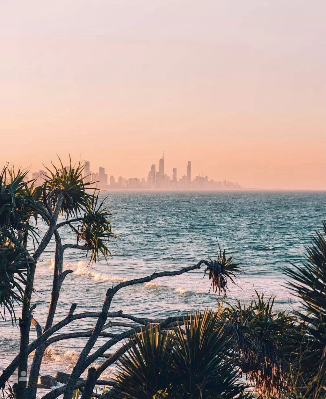 A sunset view over the ocean with a city skyline in the distance, framed by tropical trees in the foreground.