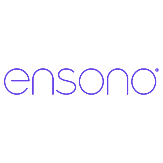 Logo of the electronic company Enson with stylized purple text.