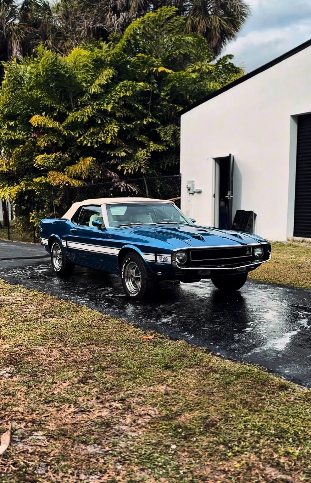 At-home car detailing exterior detail service in Naples FL restoring deep gloss and paint clarity on a classic vehicle.