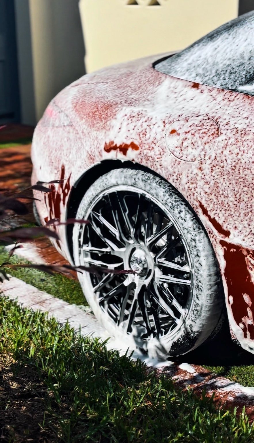 brake dust removal mobile detail North Naples FL