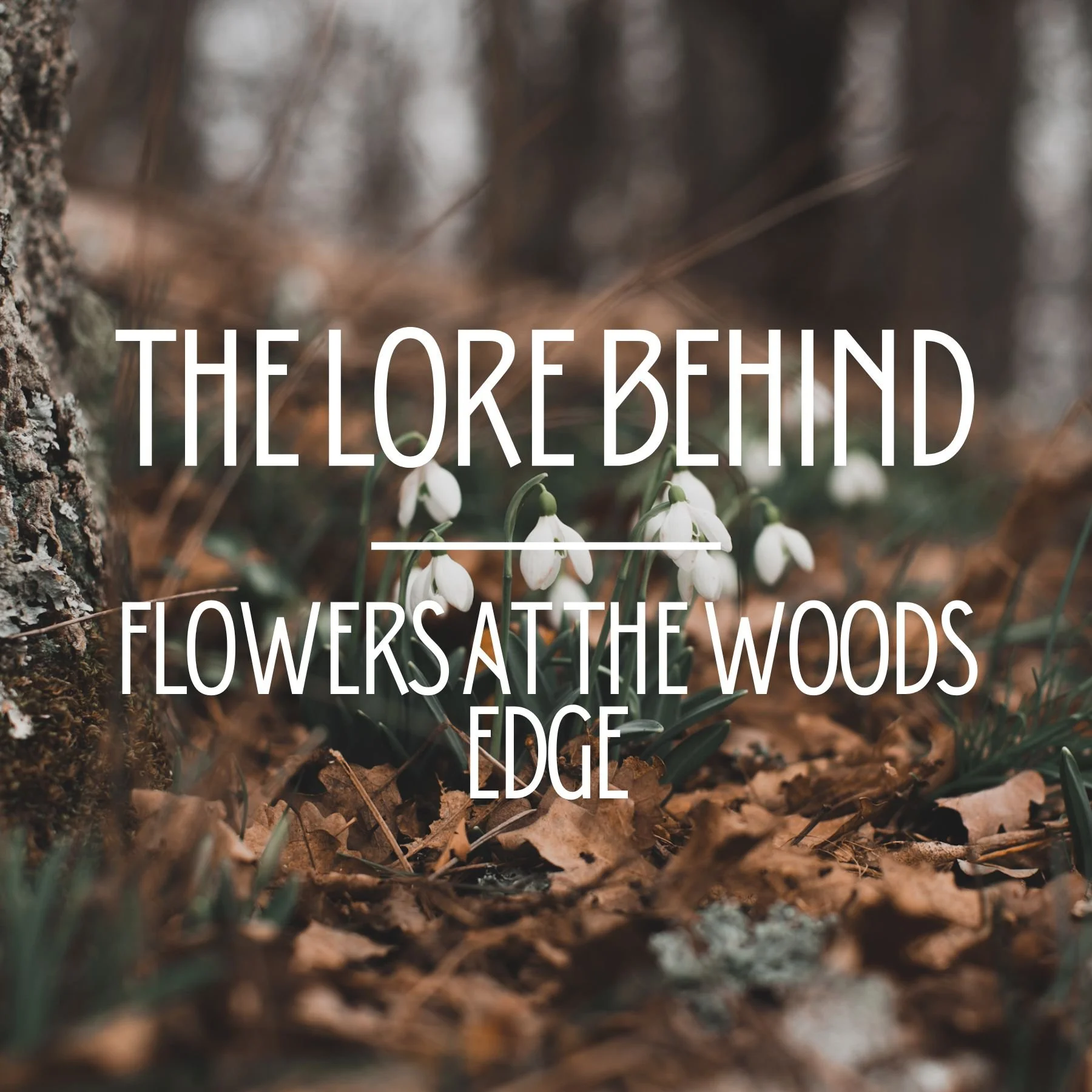 The Lore Behind - Flowers at the Woods Edge