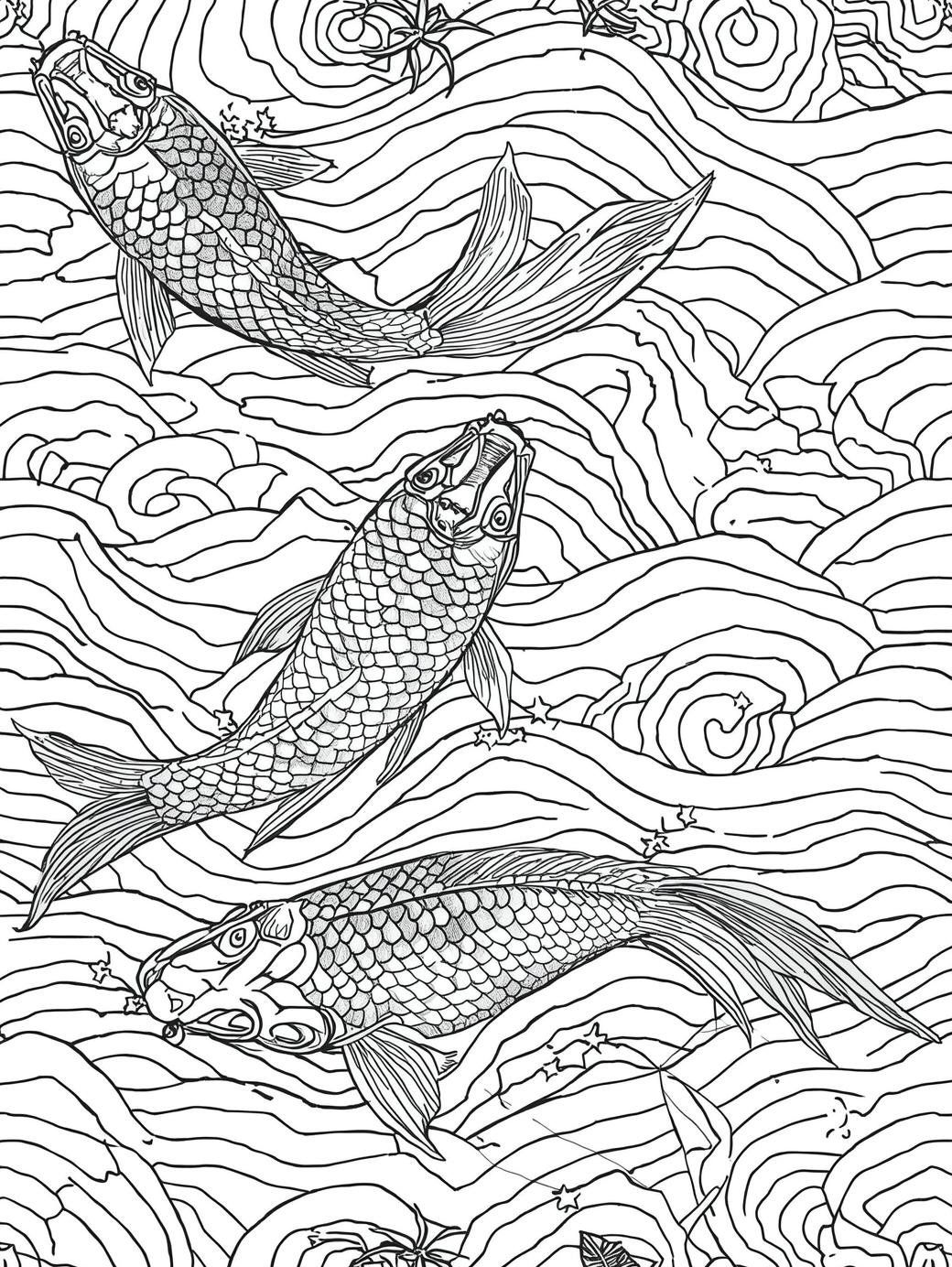 Koi With Better Plans