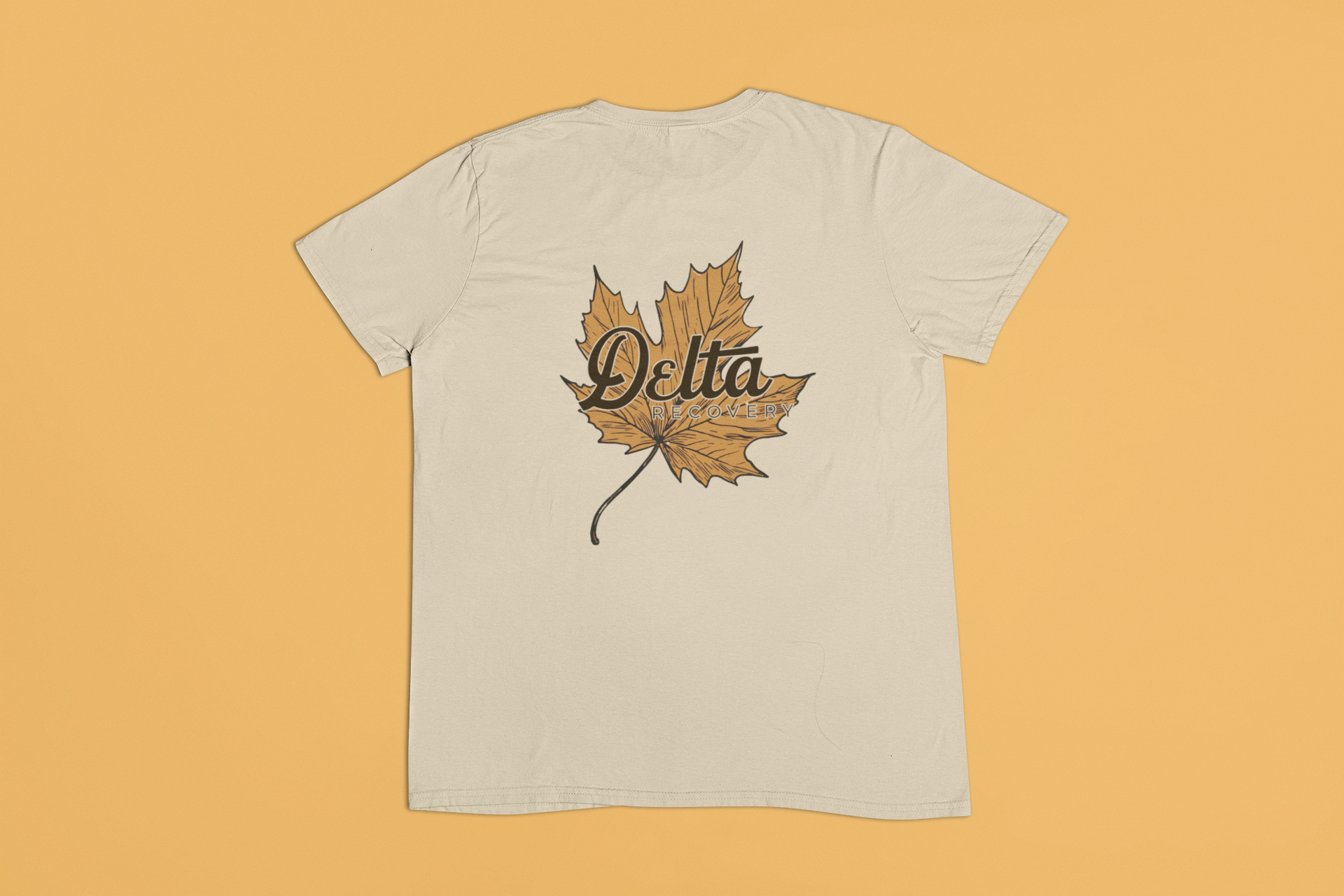 flat-lay-t-shirt-mockup-in-back-view-23847-15.png