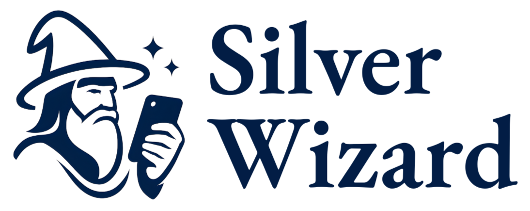 Silver Wizard