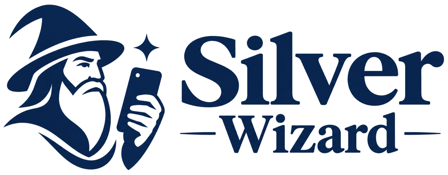 Silver Wizard