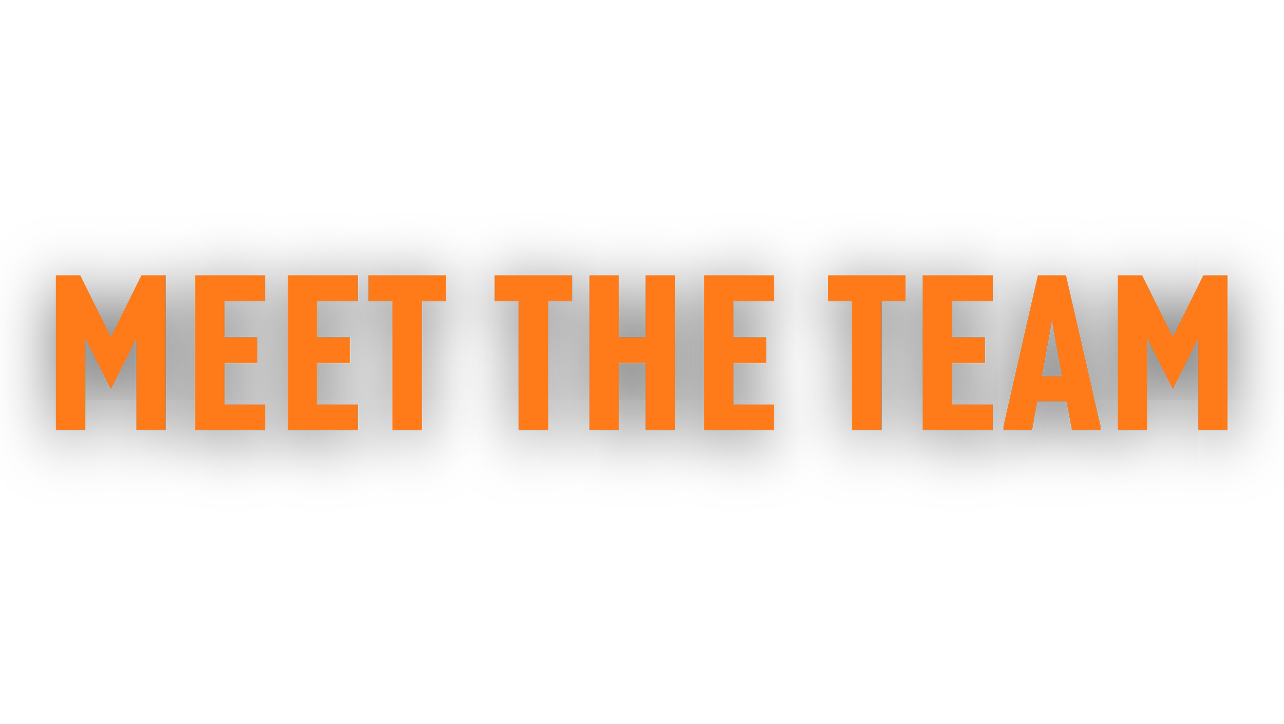 Black background with orange text saying "Meet the Team" in bold letters.