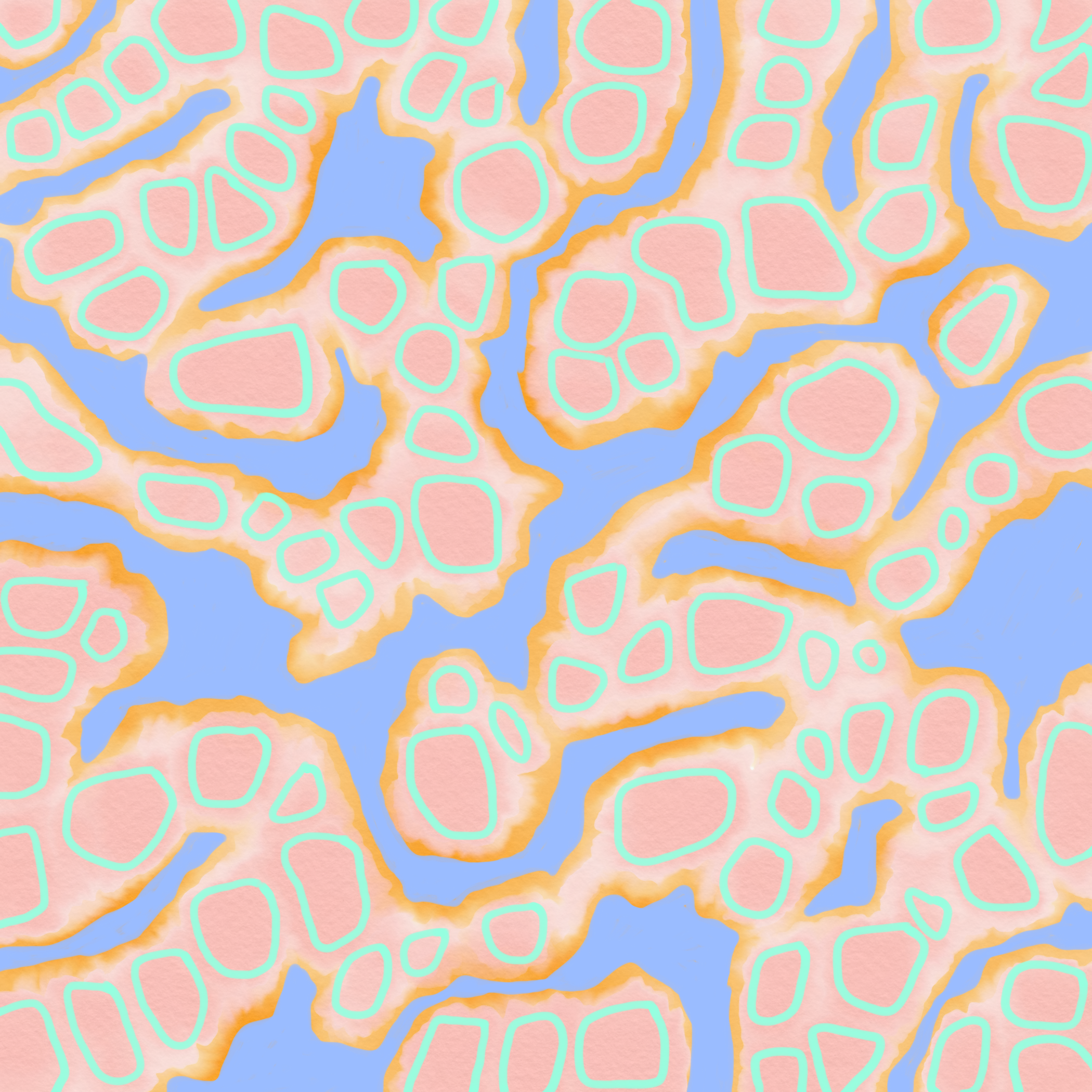 IMG_0152.png