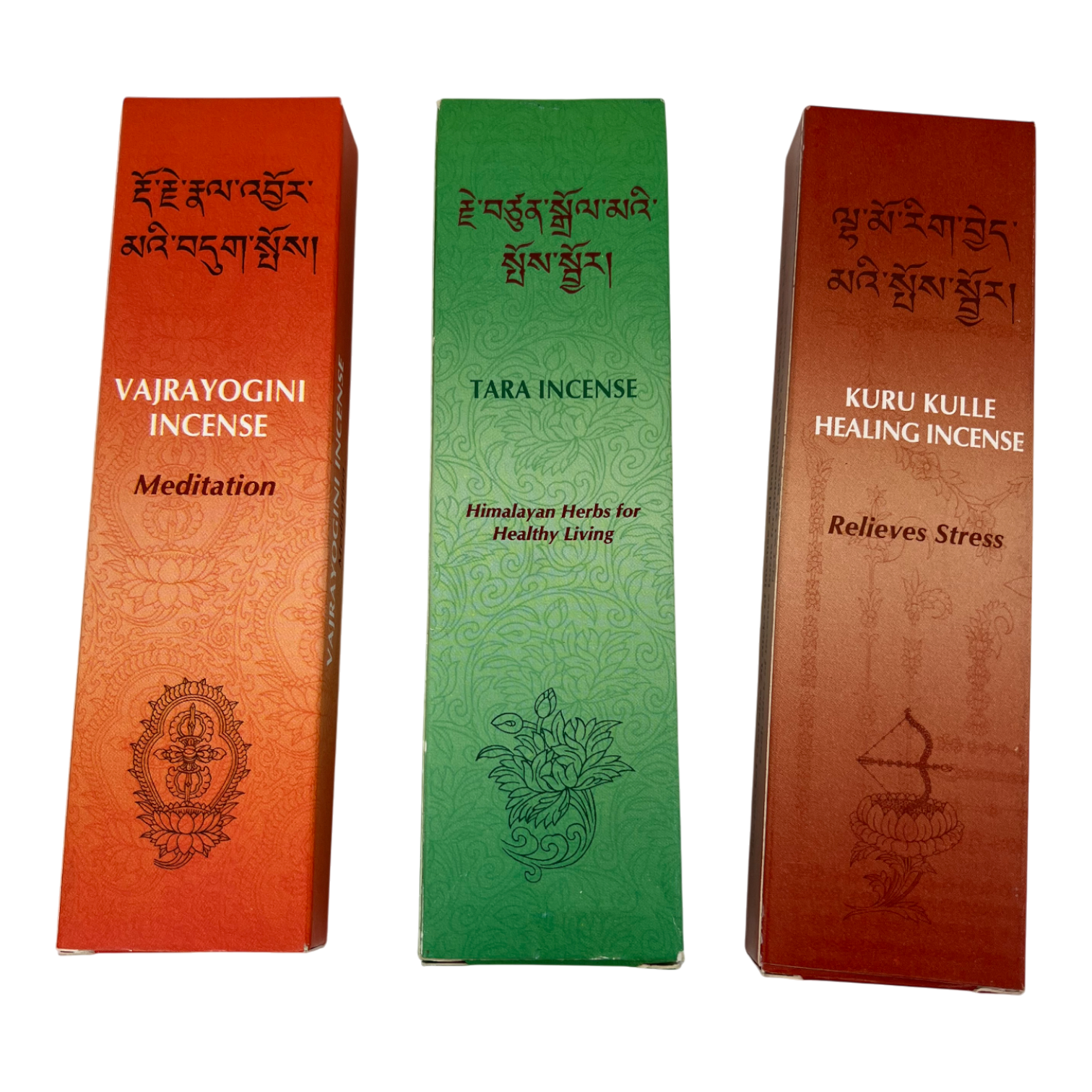 image00008.png
