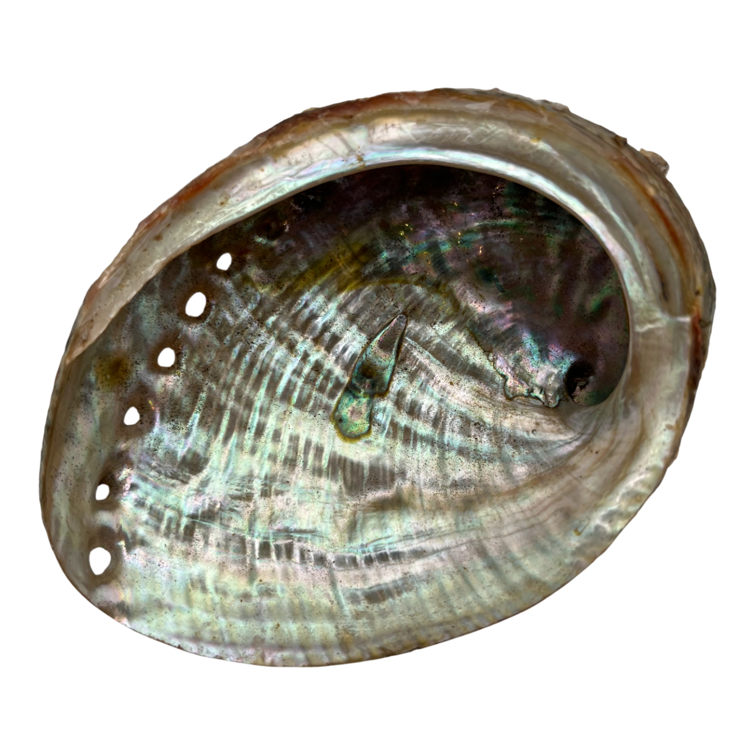 image00083.png