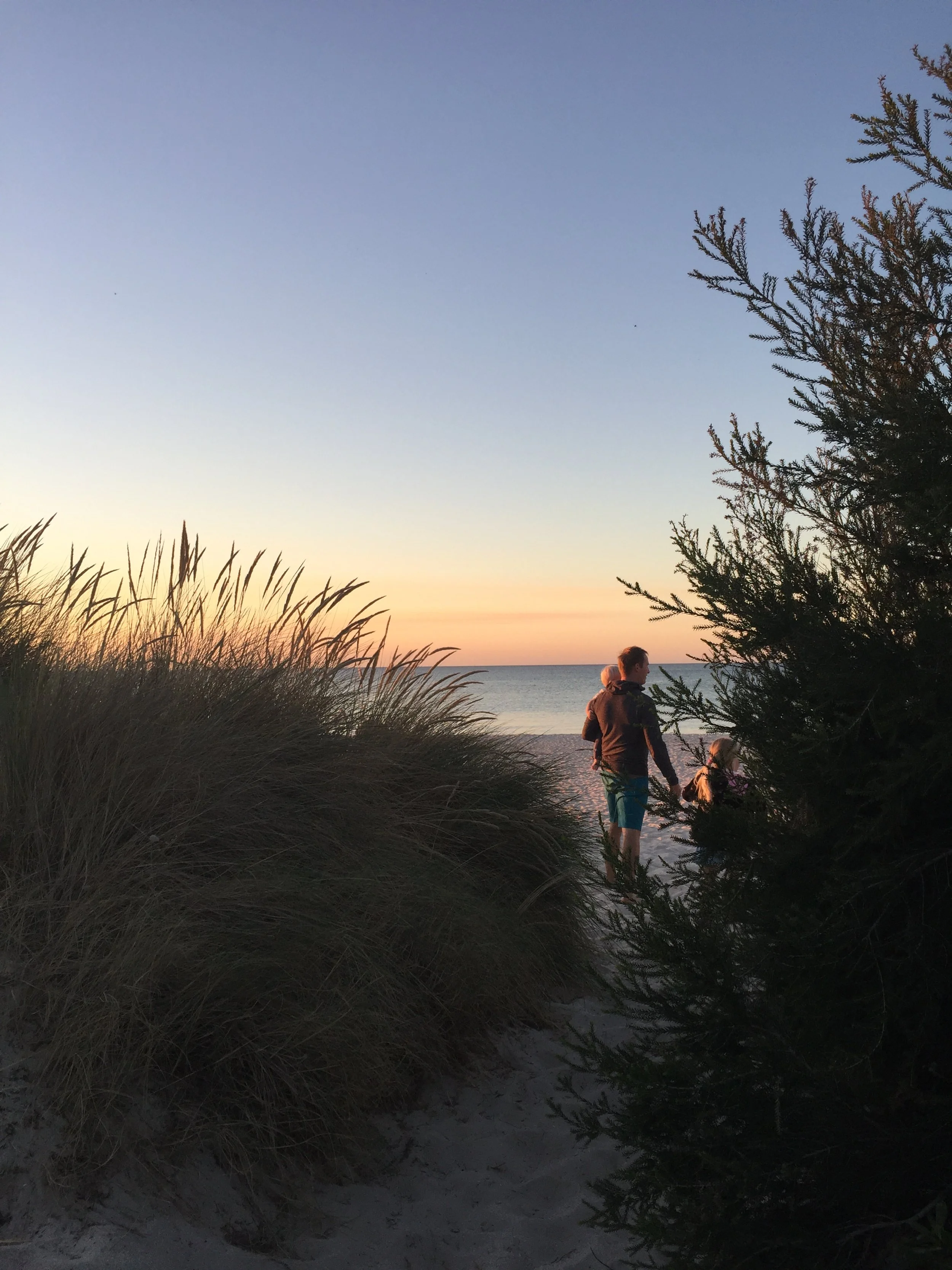 A family of three stands on a beach at sunset, seen through tall dune grass and a pine tree, with the ocean and colorful sky in the background.