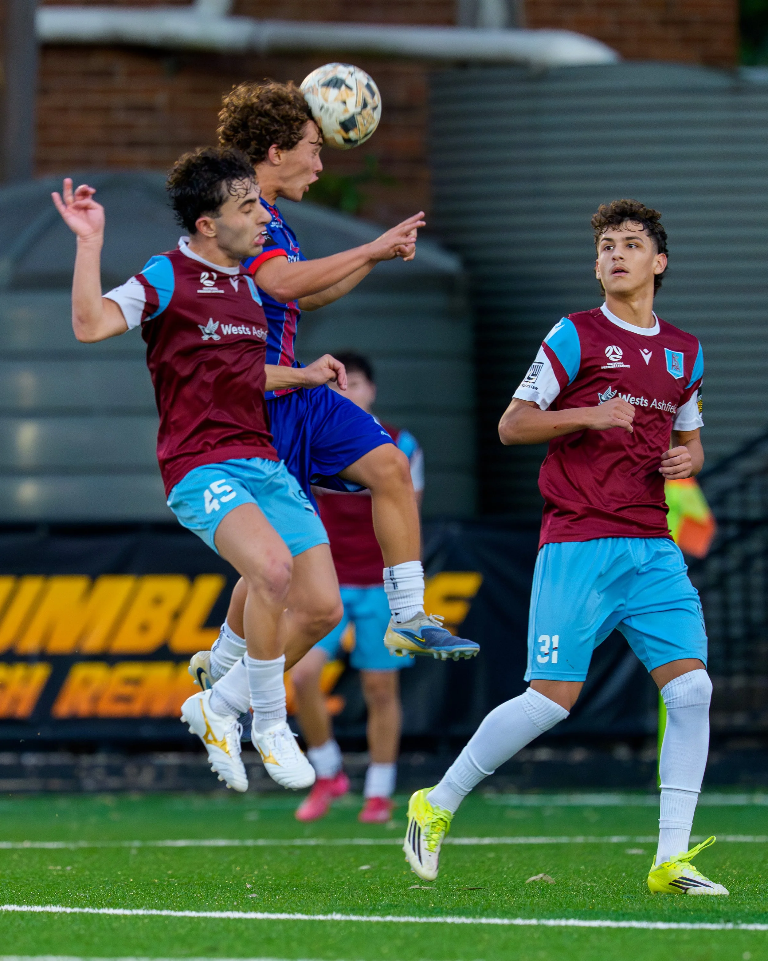 20260606_NPL1U20-APIAvsManly -1202563.jpg