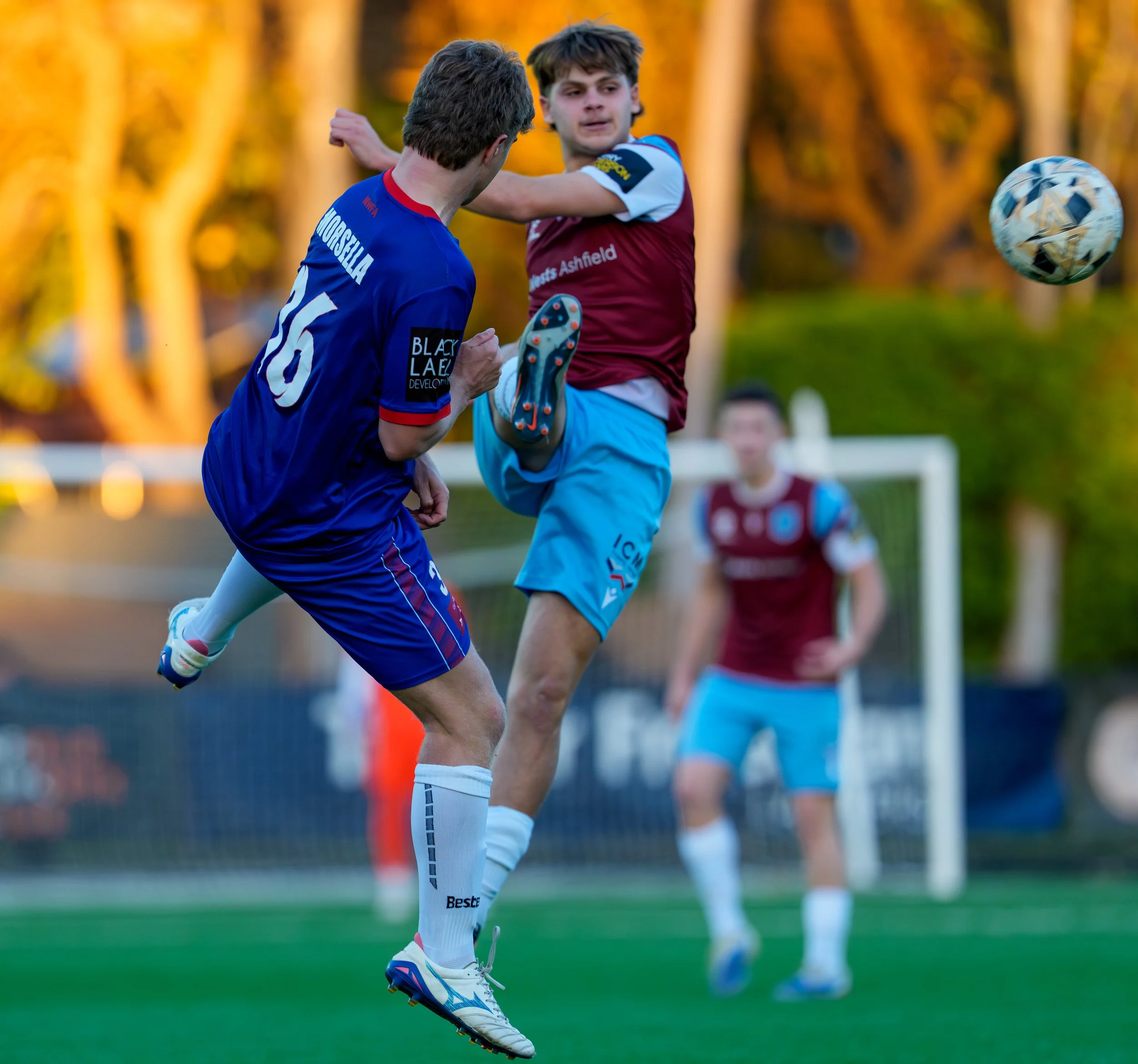 20260606_NPL1U20-APIAvsManly -1201978.jpg