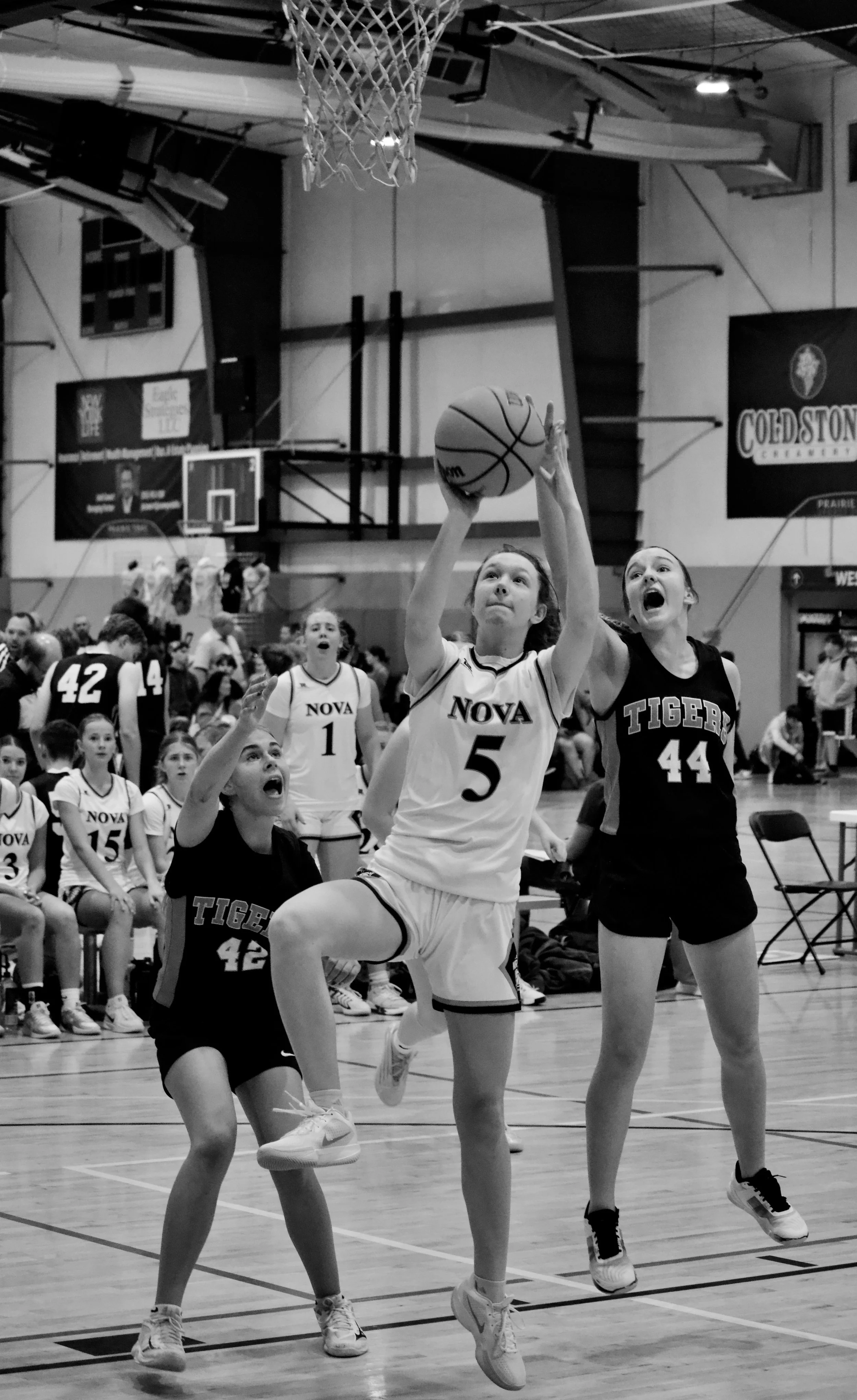 Photo Nov 21 2025, 4 44 20 AM.jpg