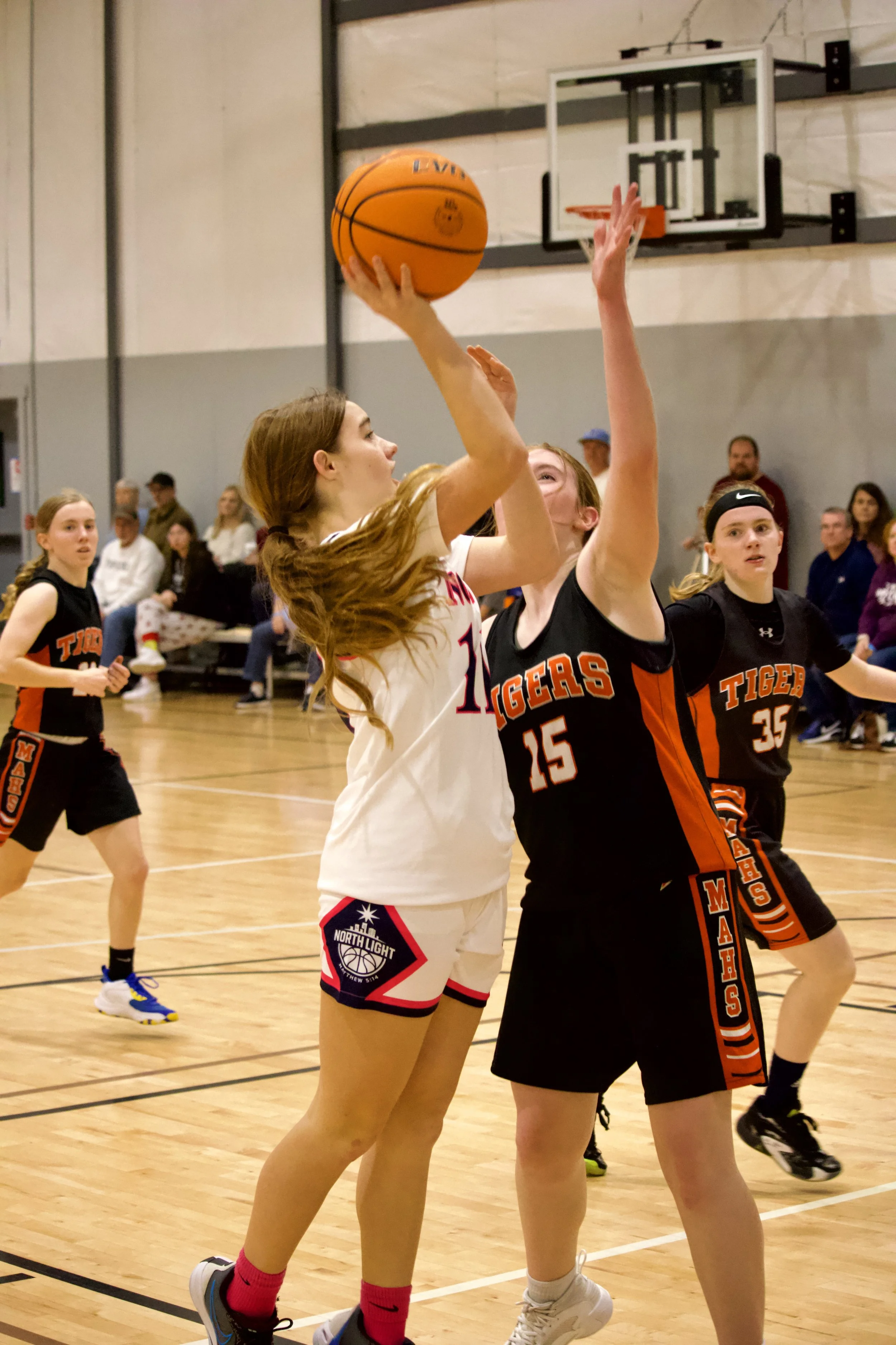 Photo Nov 21 2025, 5 02 34 AM.jpg