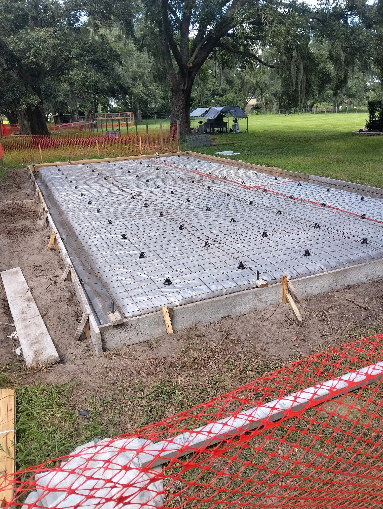 7710932307310611401 2.JPG