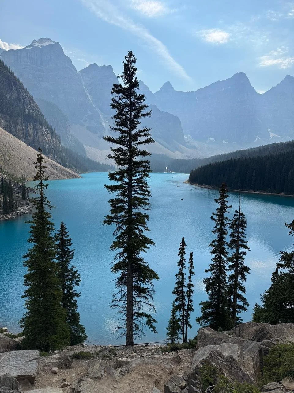 PHOTO-2026-01-28-18-50-53 3.JPG