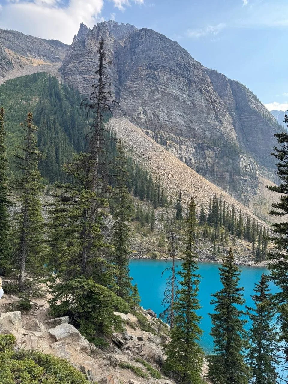 PHOTO-2026-01-28-18-50-53 4.JPG