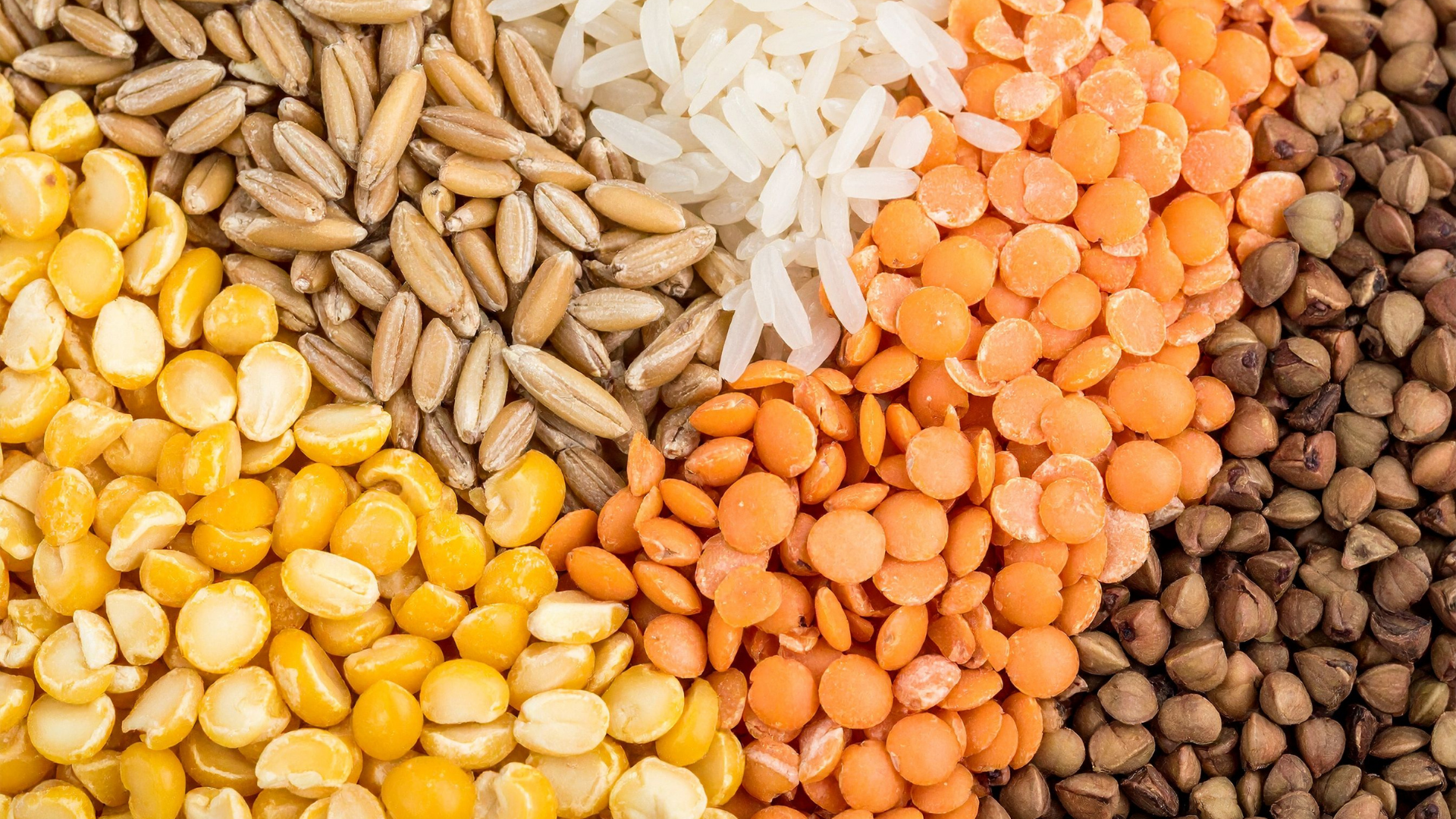 Diversos granos y legumbres en diferentes colores y tamaños, incluyendo maíz amarillo, trigo integral, arroz blanco, lentejas rojas, y frijoles oscuros.