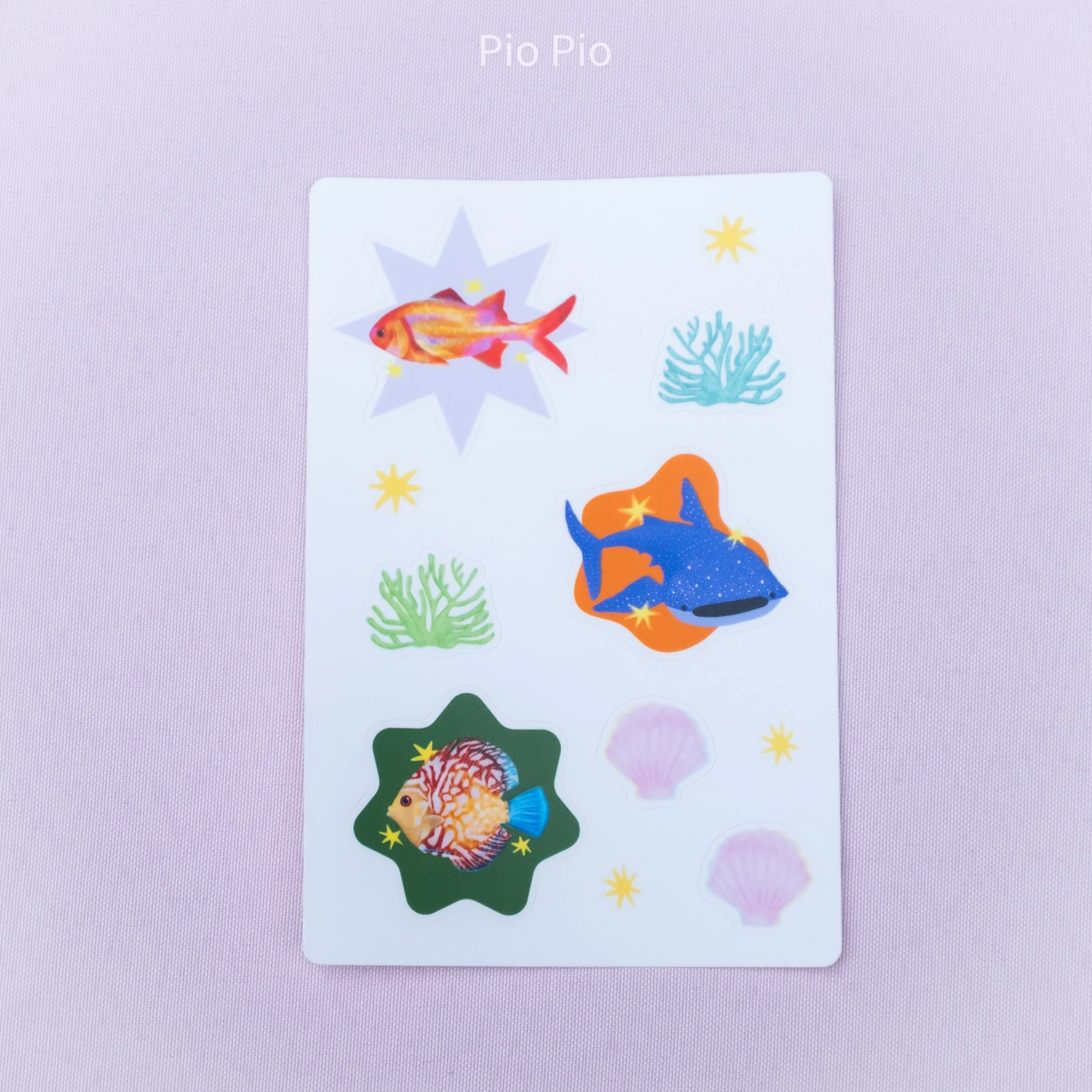 Product photo-13.jpg