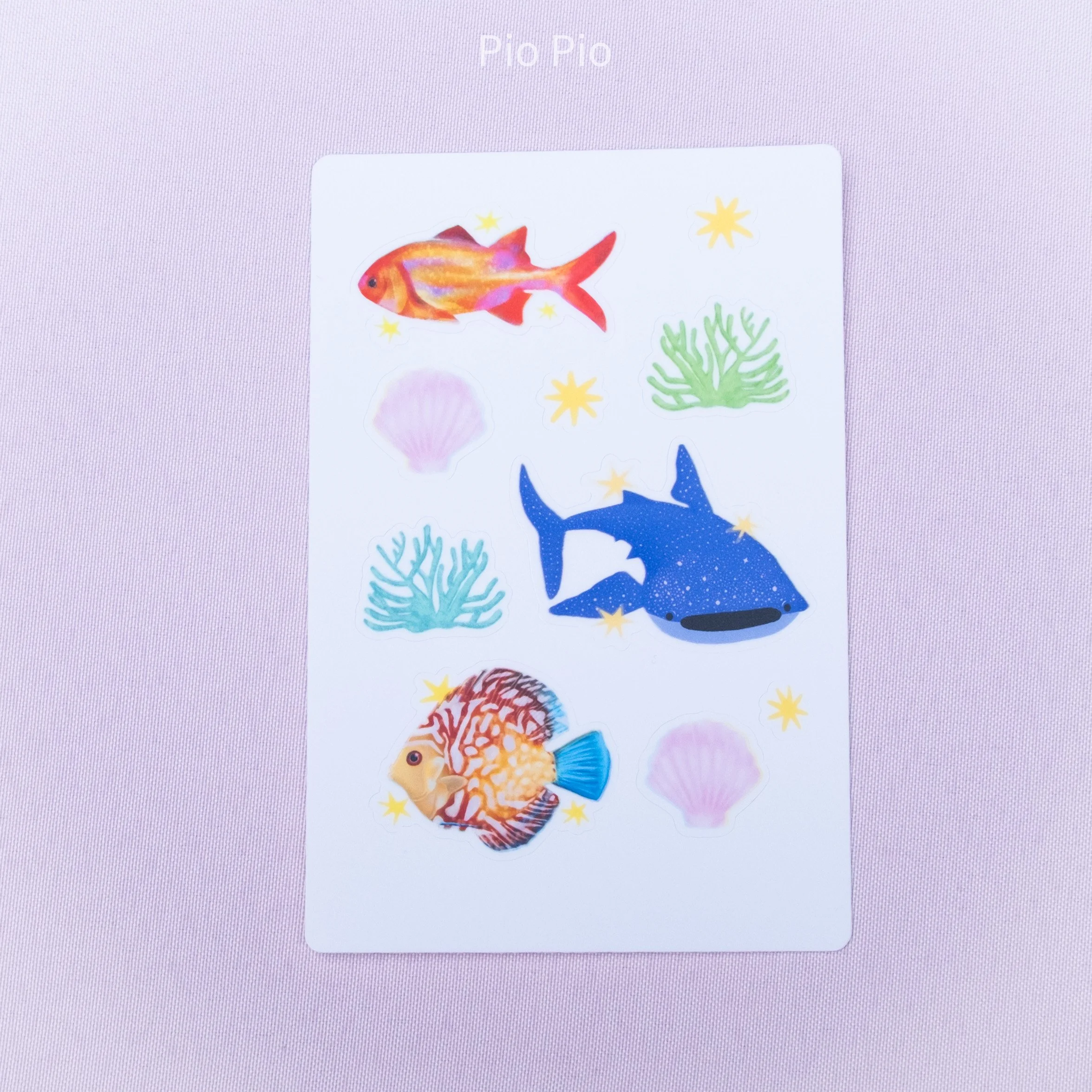 Product photo-14.jpg