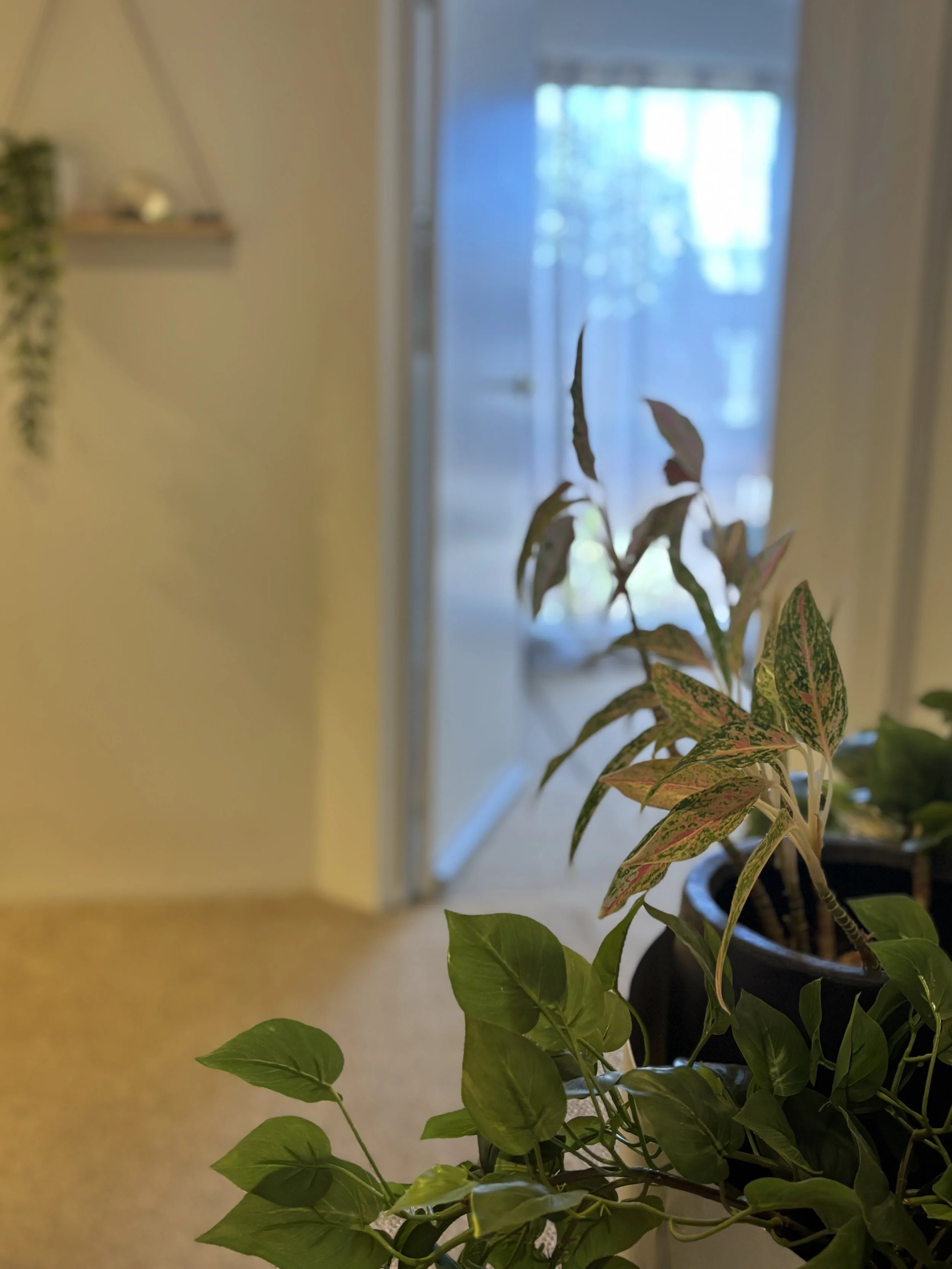 Ocean Grove Clinic Hallway - plants on either side