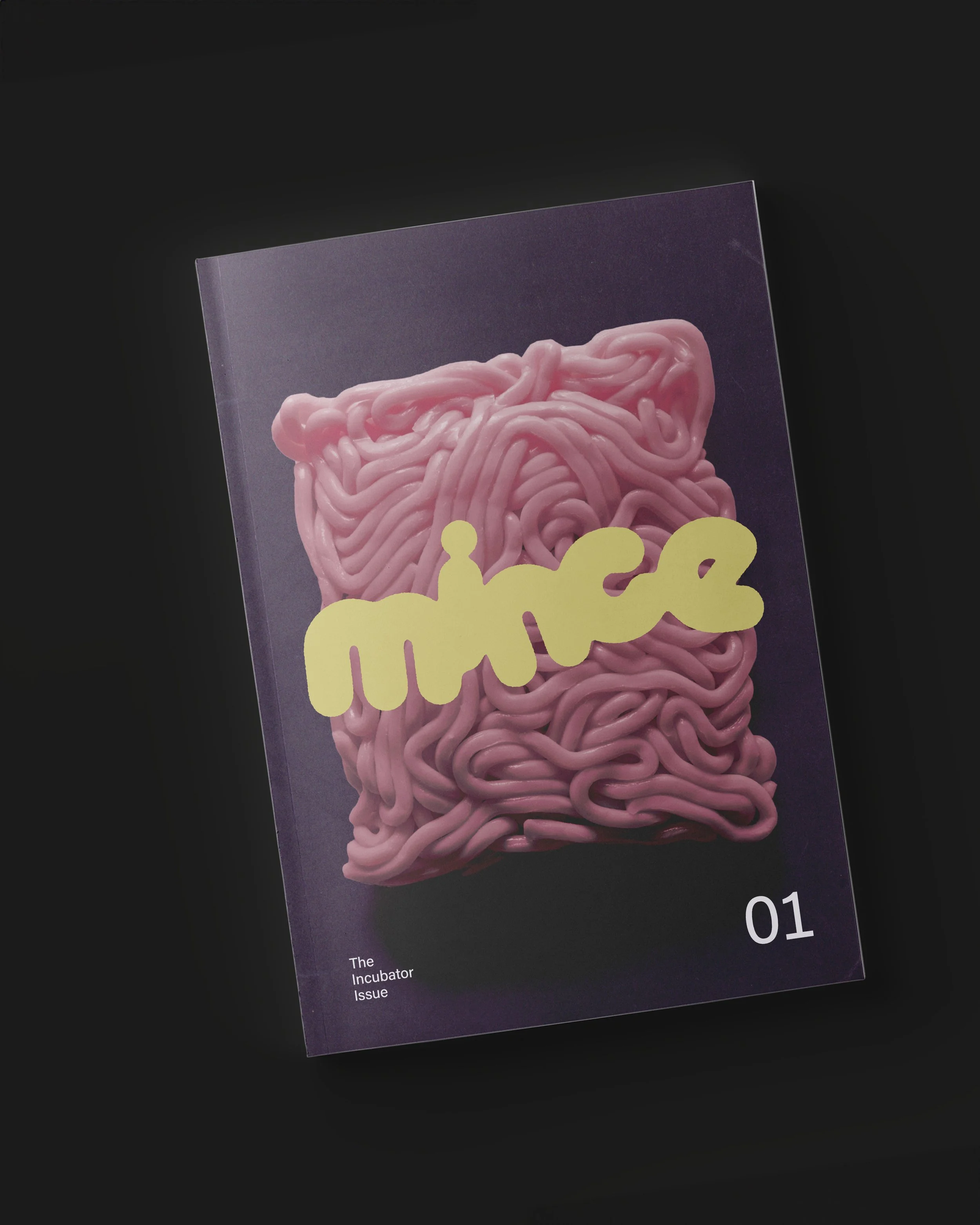 WEB MinceCover copy 2.jpg